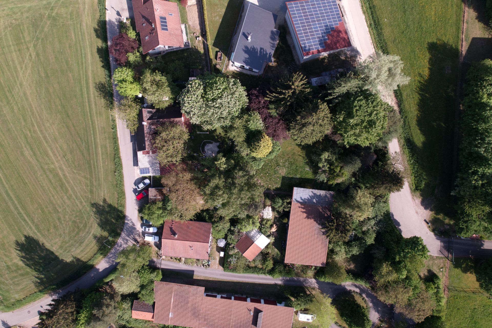 Luftaufnahme von Wohnhäusern, Gärten und Bäumen an einer Straße neben einer Wiese.