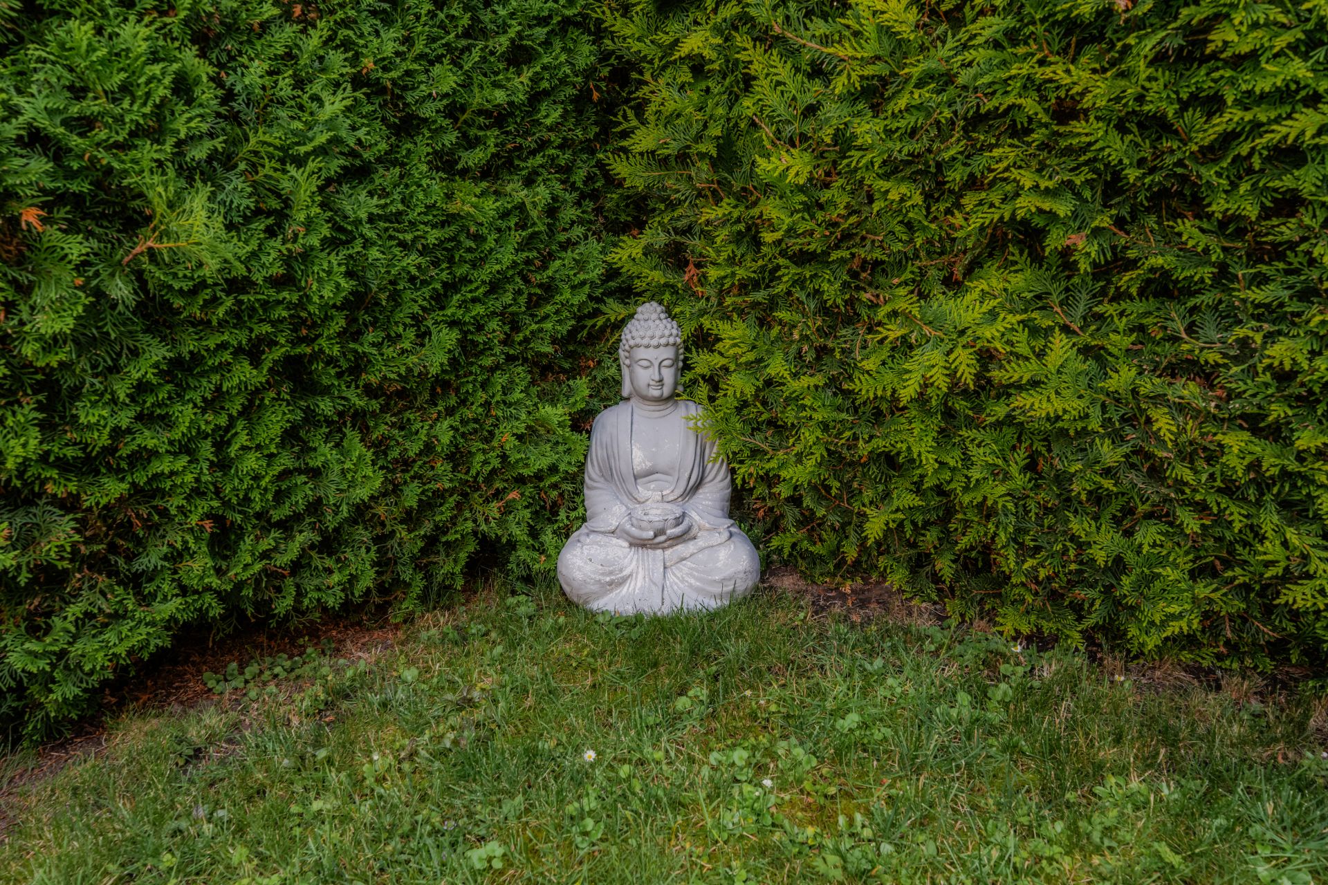 Steinerne Buddha-Statue steht auf Rasen vor einer dichten grünen Hecke.