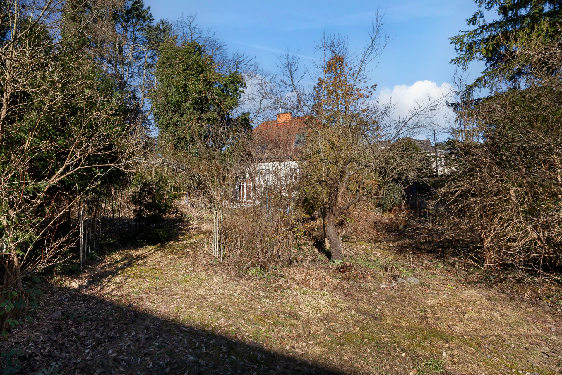 Garten mit Bäumen und Sträuchern, im Hintergrund ist ein Haus teilweise sichtbar.