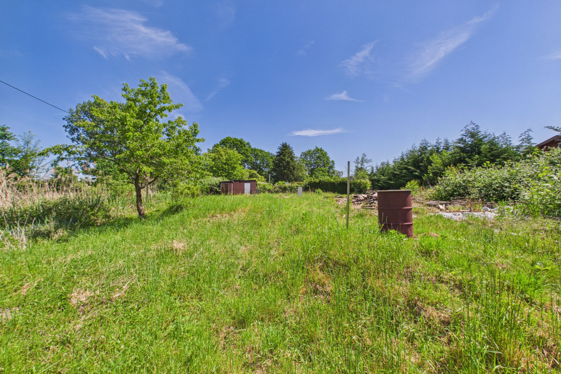 Grünes Grundstück mit Baum, Fass und Büschen unter blauem Himmel.