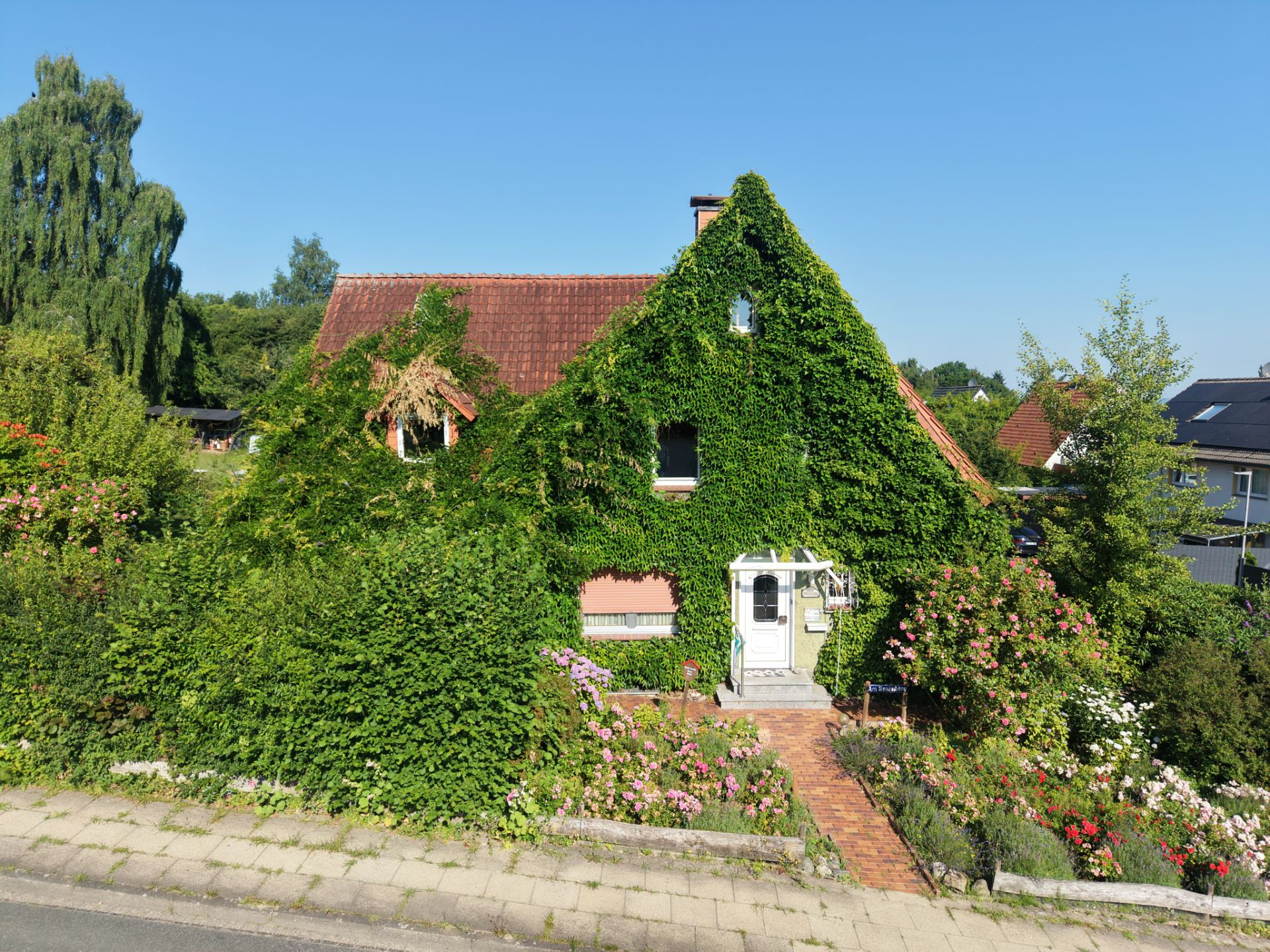 Haus mit rotem Dach, komplett von Efeu und Pflanzen umgeben, Blumenbeet im Vorgarten.