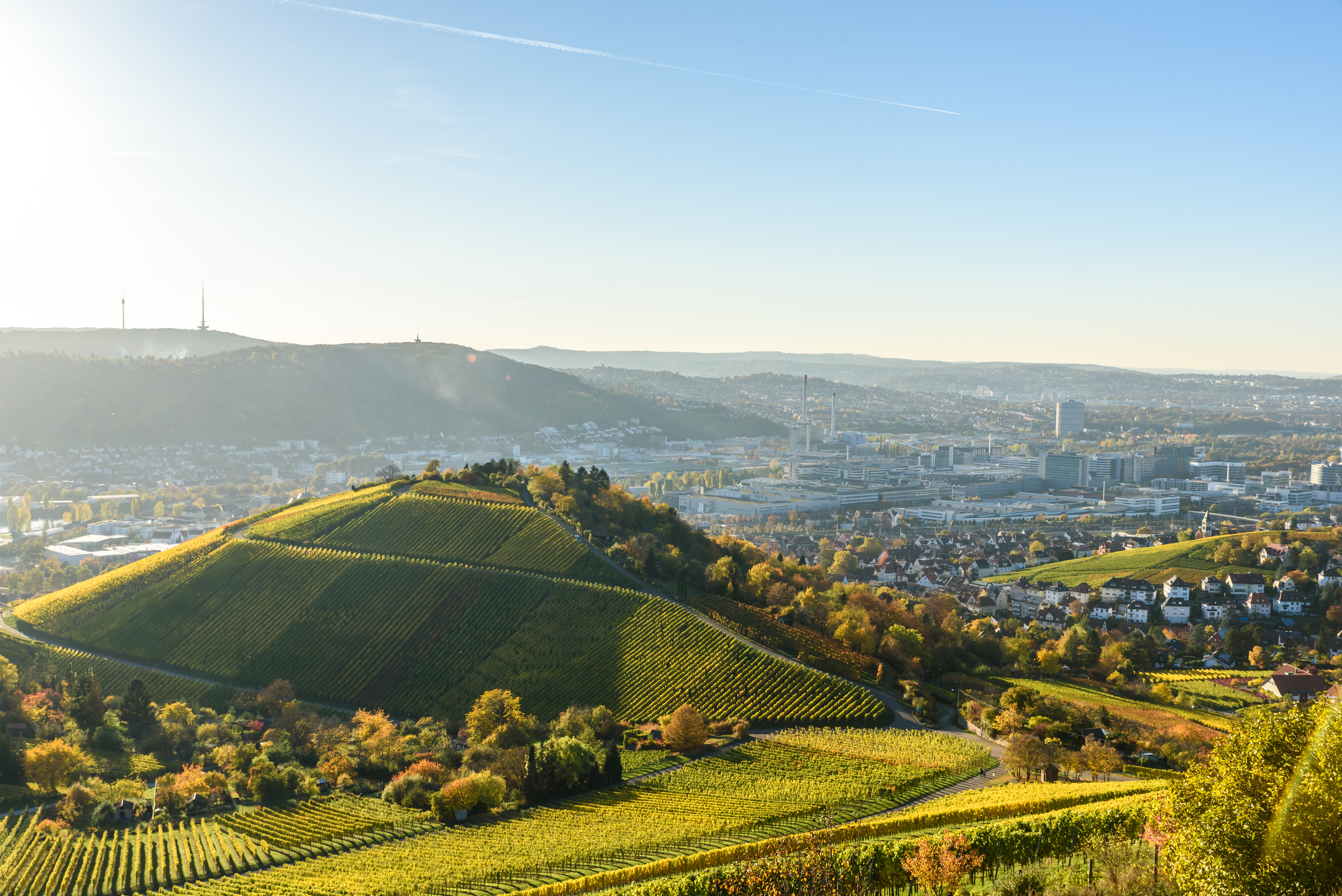 Blick auf grüne Weinberge mit einer Stadt im Hintergrund bei sonnigem Wetter.