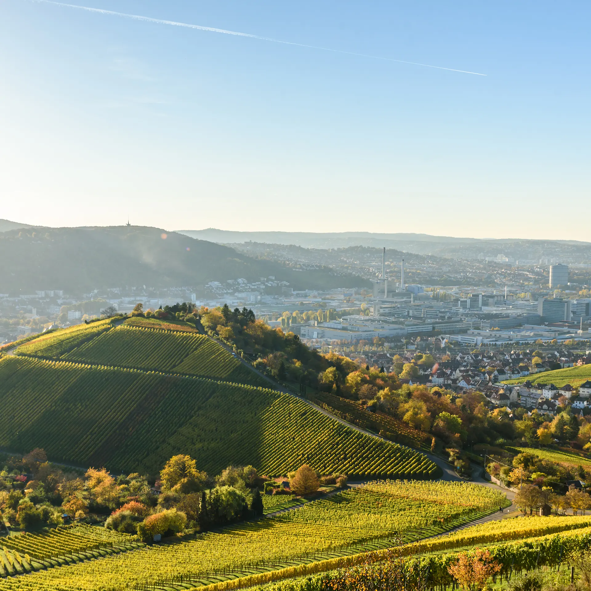 Blick auf grüne Weinberge mit einer Stadt im Hintergrund bei sonnigem Wetter.