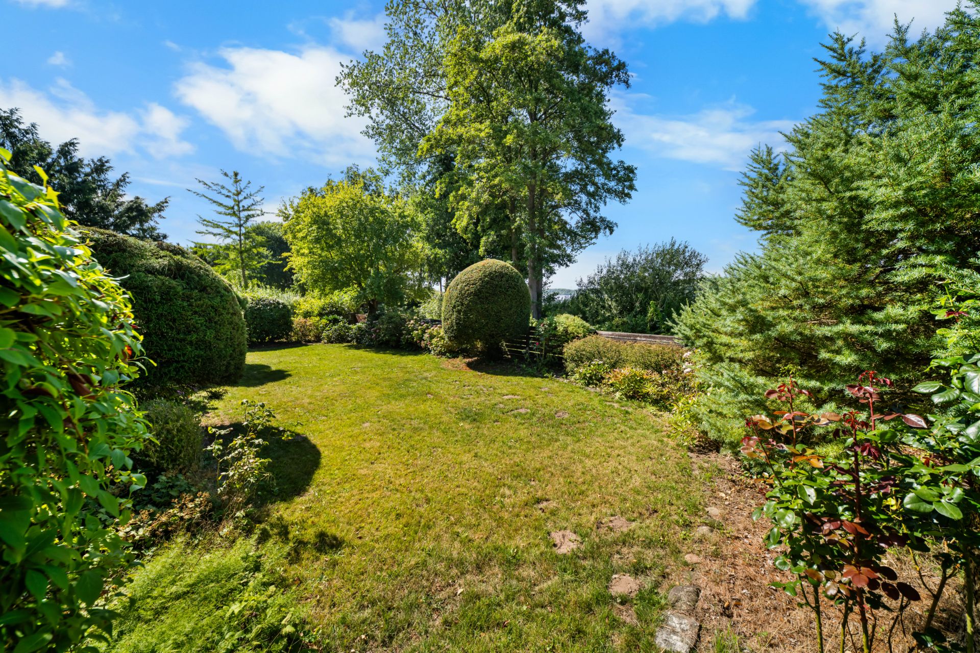 Grüner Garten mit Rasenfläche, Sträuchern und Bäumen bei sonnigem Wetter.