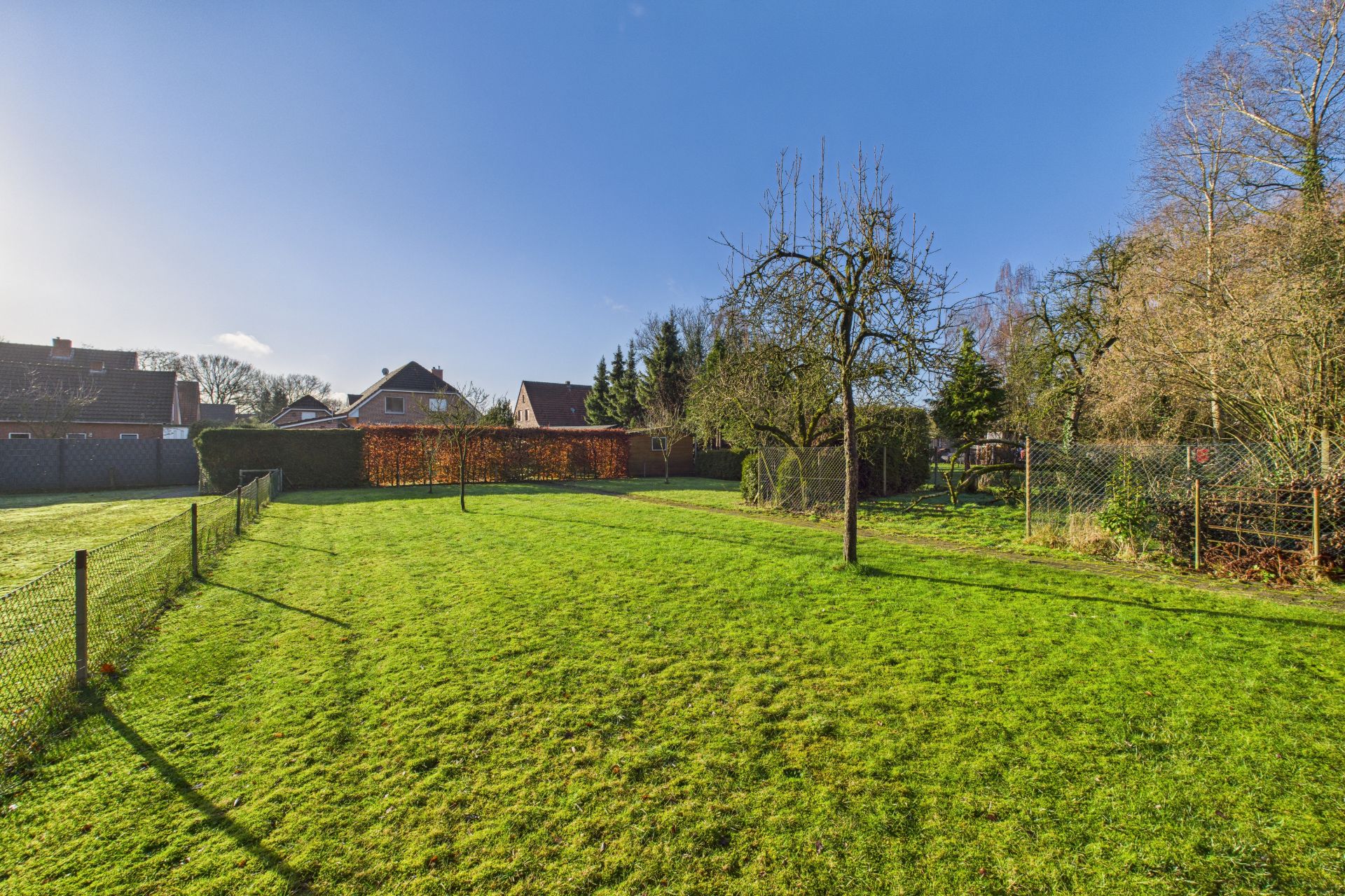 Großer grüner Garten mit Baum, umzäunt, bei sonnigem Wetter, Häuser im Hintergrund.