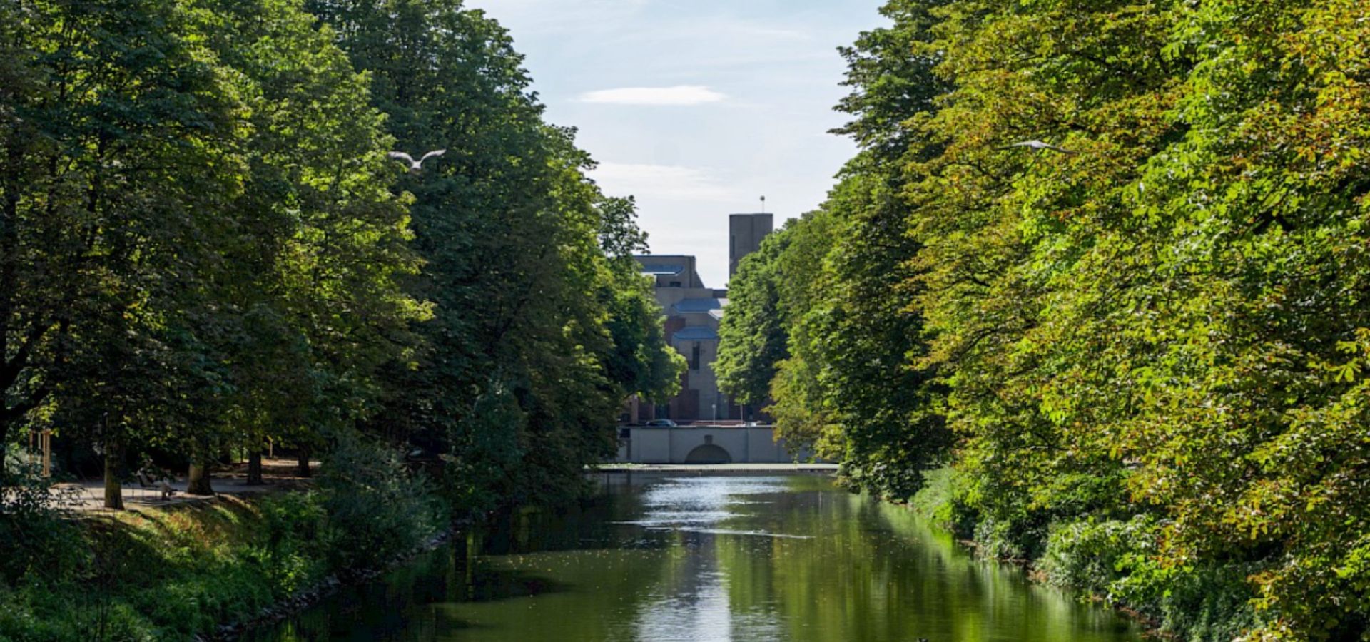 Ein ruhiger Fluss mit Bäumen an beiden Ufern und einem Gebäude im Hintergrund.