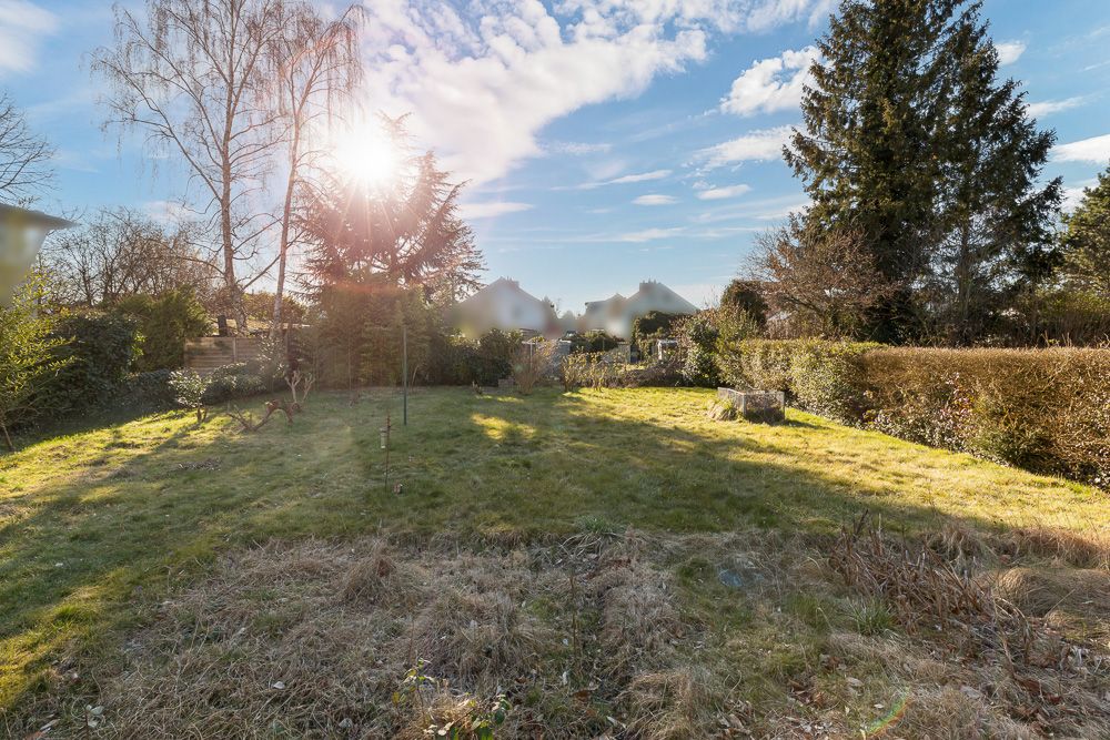 Sonniger Garten mit Rasenfläche, Bäumen und Sträuchern an einem klaren Tag.