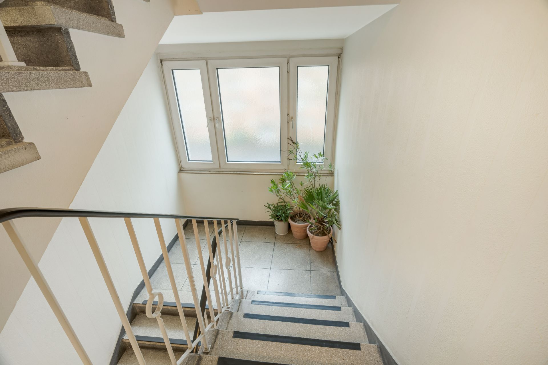 Treppenhaus mit Fenster und mehreren Zimmerpflanzen in Töpfen auf dem Boden.