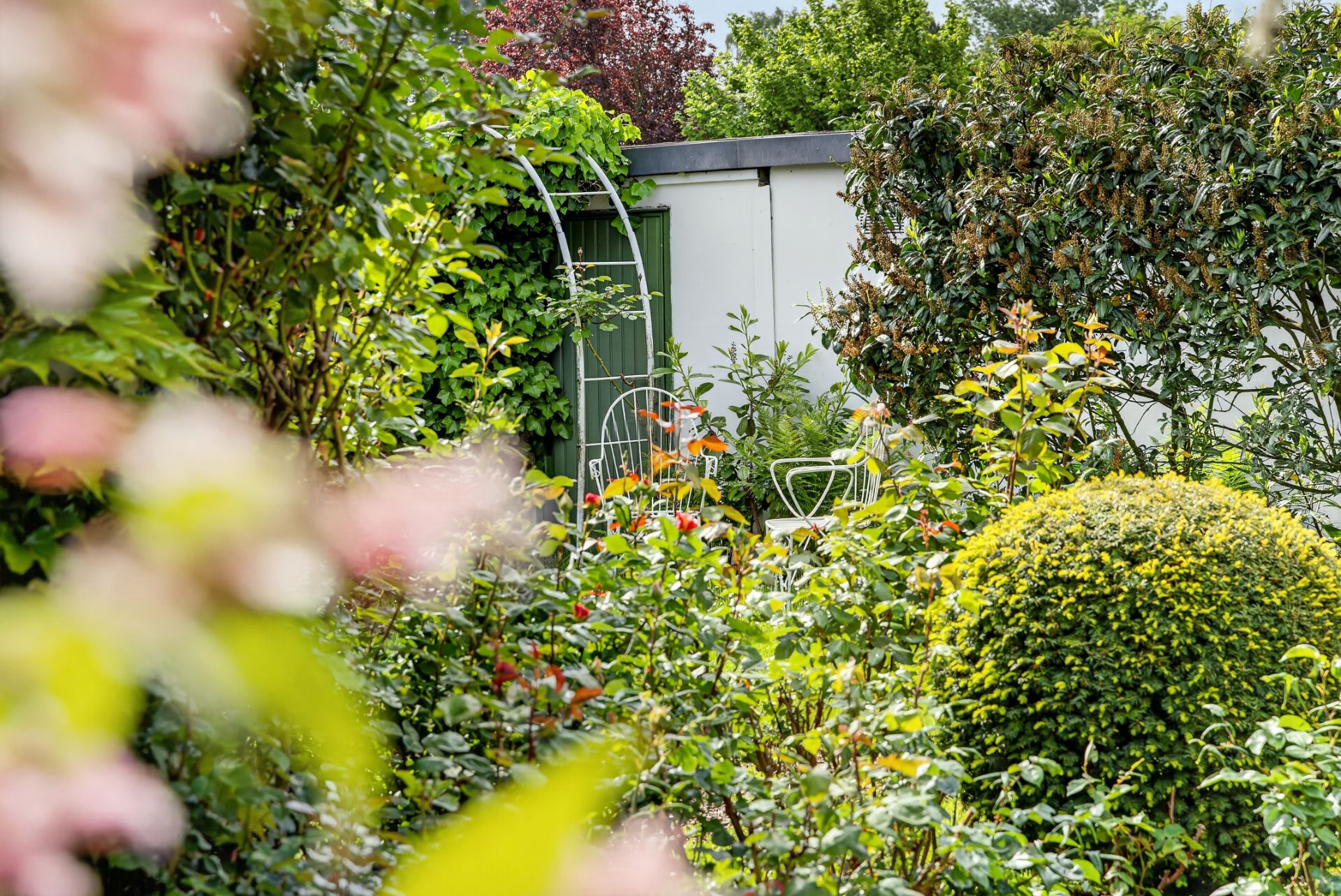 Blühender Garten mit Sträuchern, Büschen und zwei weißen Gartenstühlen im Hintergrund.