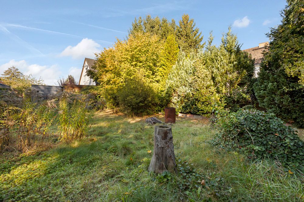 Garten mit hohem Gras, Baumstumpf und verschiedenen Büschen und Bäumen bei Tageslicht.