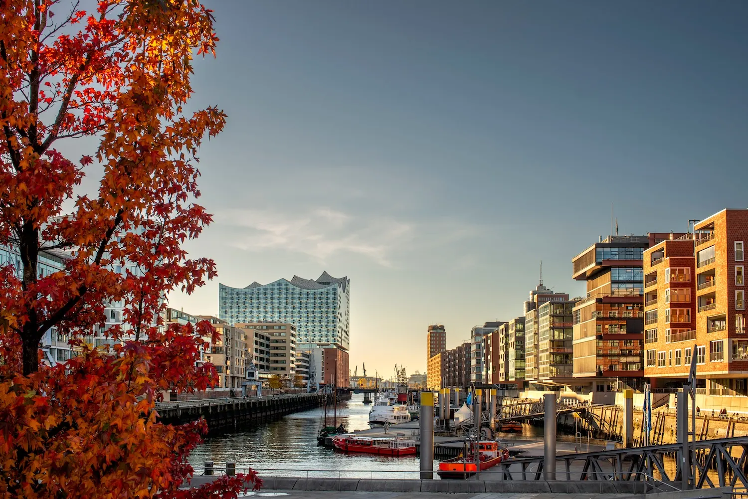 Moderne Wohnhäuser an einem Kanal mit Bootsstegen und herbstlichem Baum im Vordergrund.