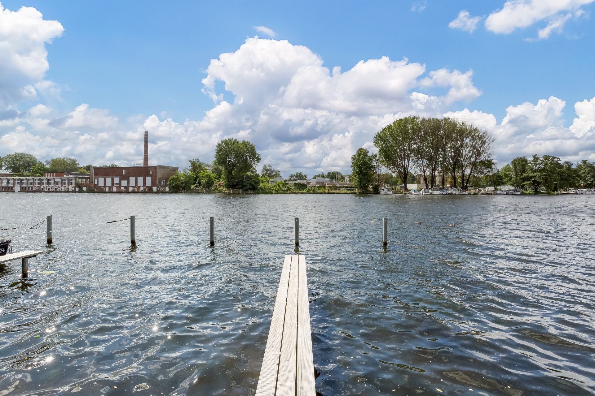 Holzsteg führt ins Wasser mit Blick auf das gegenüberliegende Ufer und Bäume.