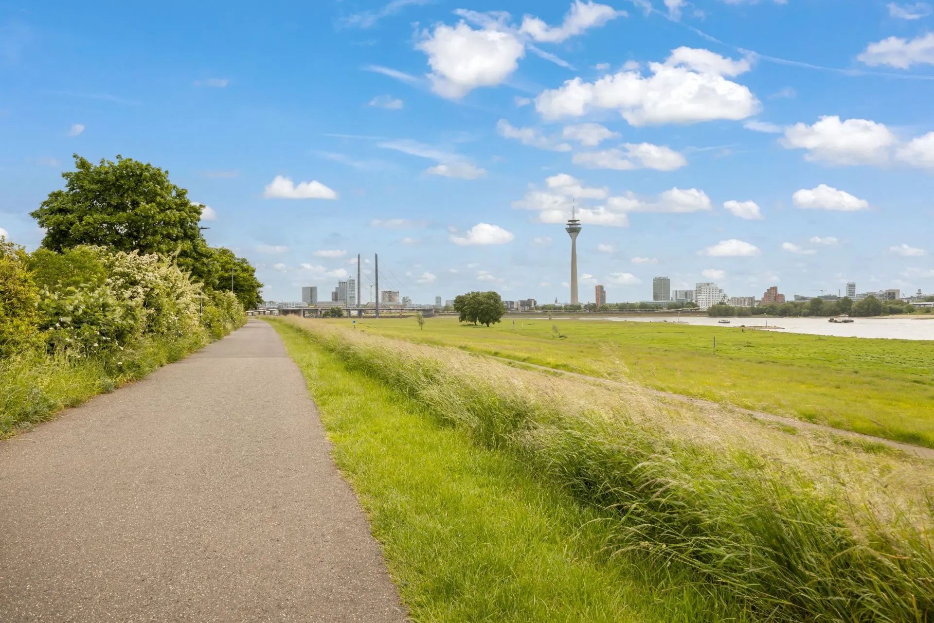 Asphaltierter Weg neben Wiese mit Blick auf Fluss und Stadt im Hintergrund.