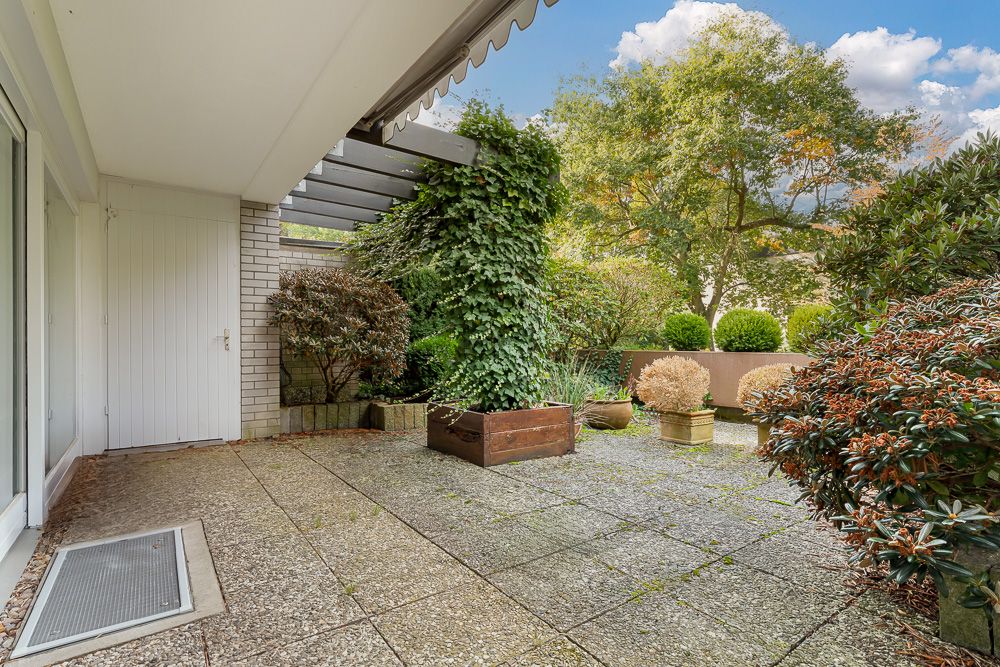 Gepflasterte Terrasse mit Pflanzenkübeln, Rankpflanzen und Blick auf Bäume im Garten.