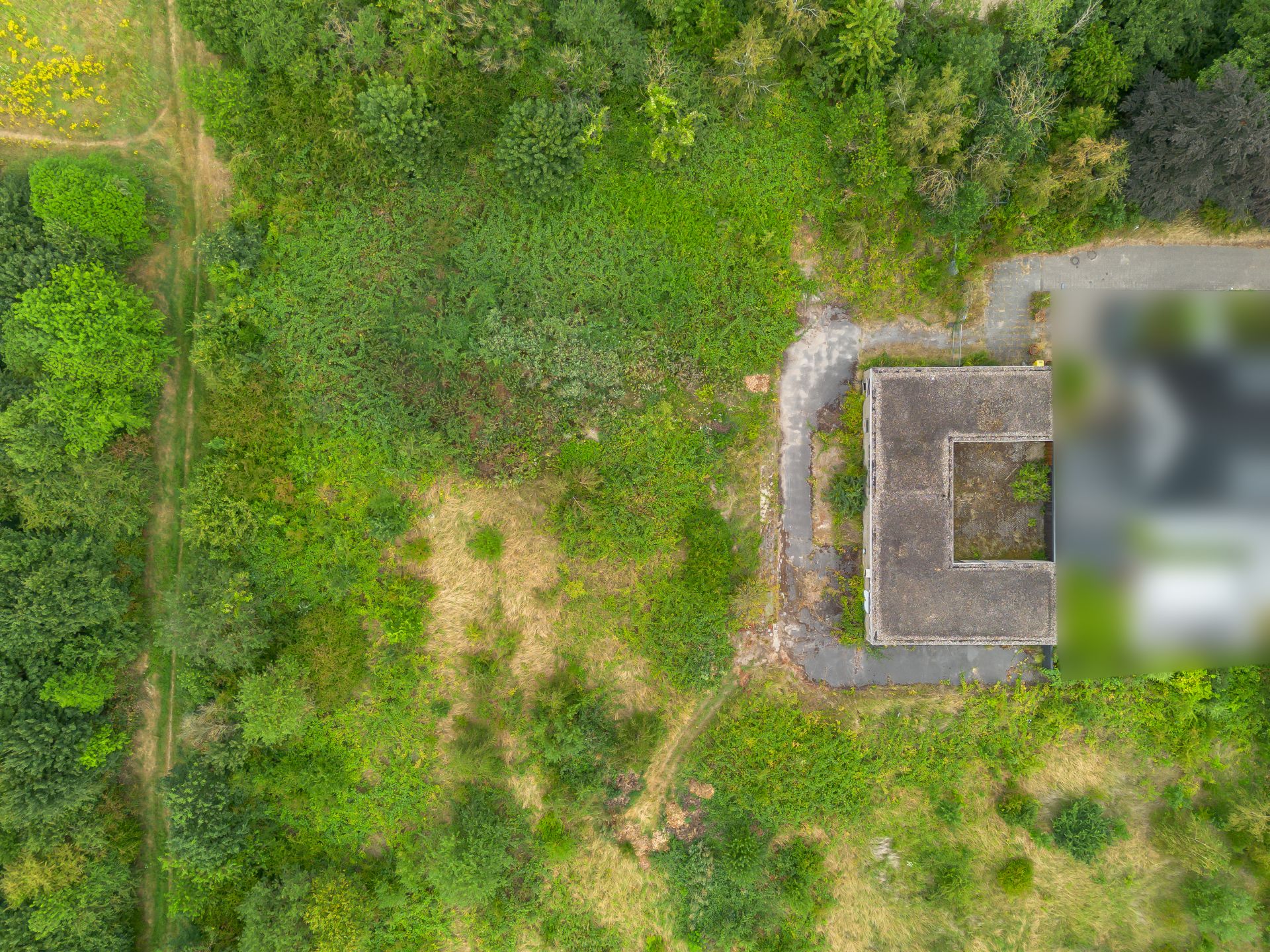 Luftaufnahme eines Hauses mit Flachdach, umgeben von viel Grün und Vegetation.