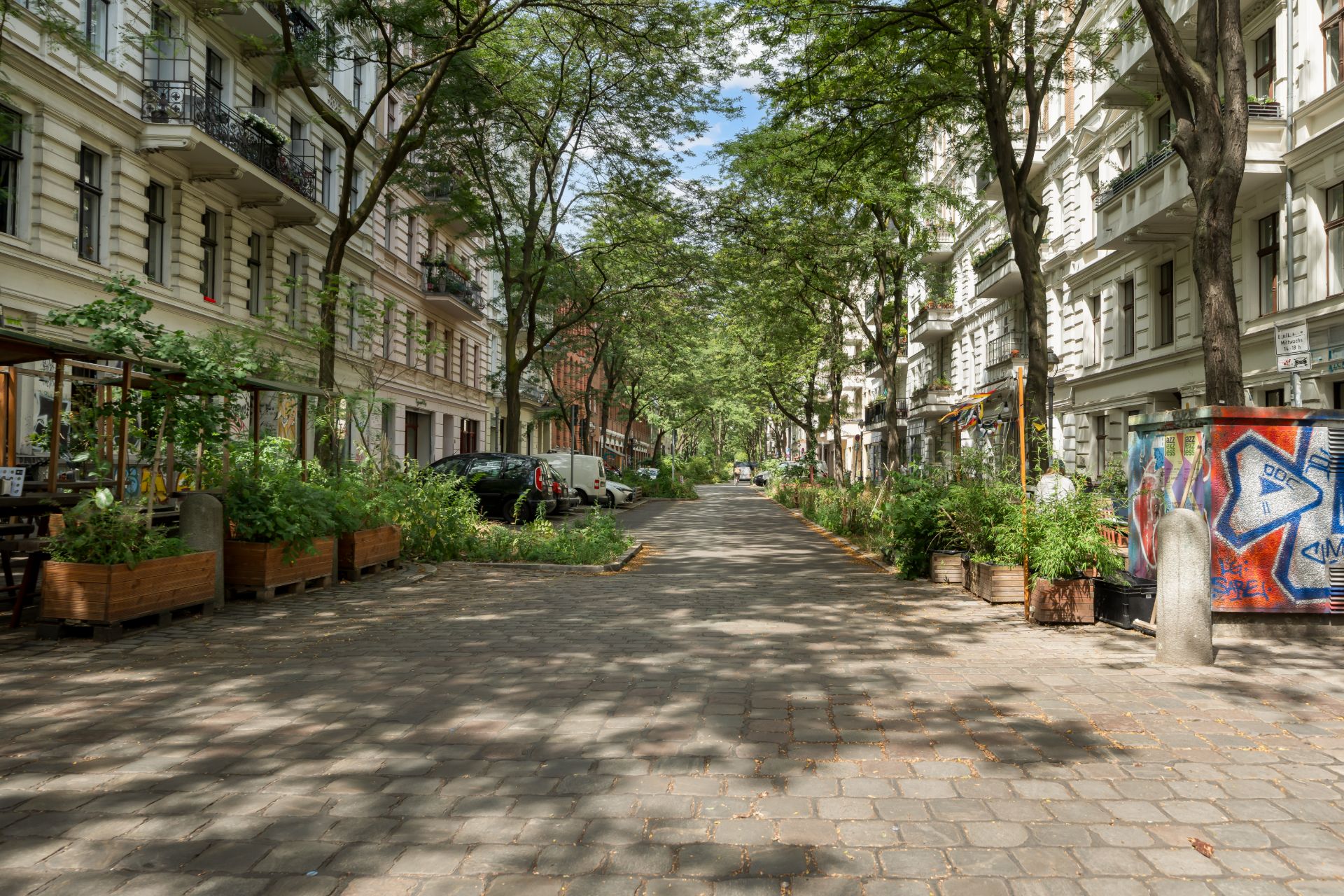 Baumbestandene Wohnstraße mit Pflanzkübeln und mehrstöckigen Häusern auf beiden Seiten.