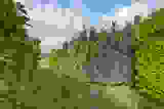 Weg