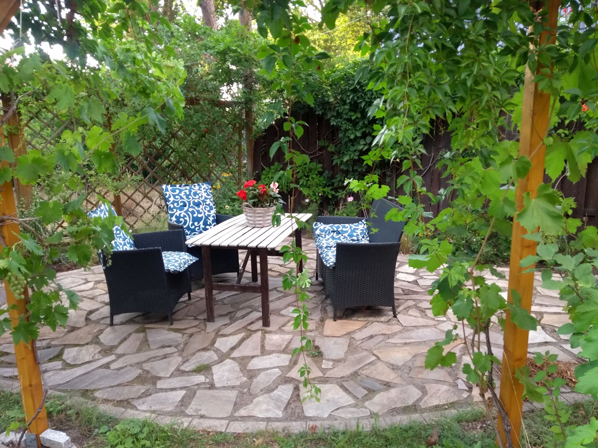 Gartenbereich mit vier Stühlen, Tisch und Blättern im Vordergrund auf Steinboden.