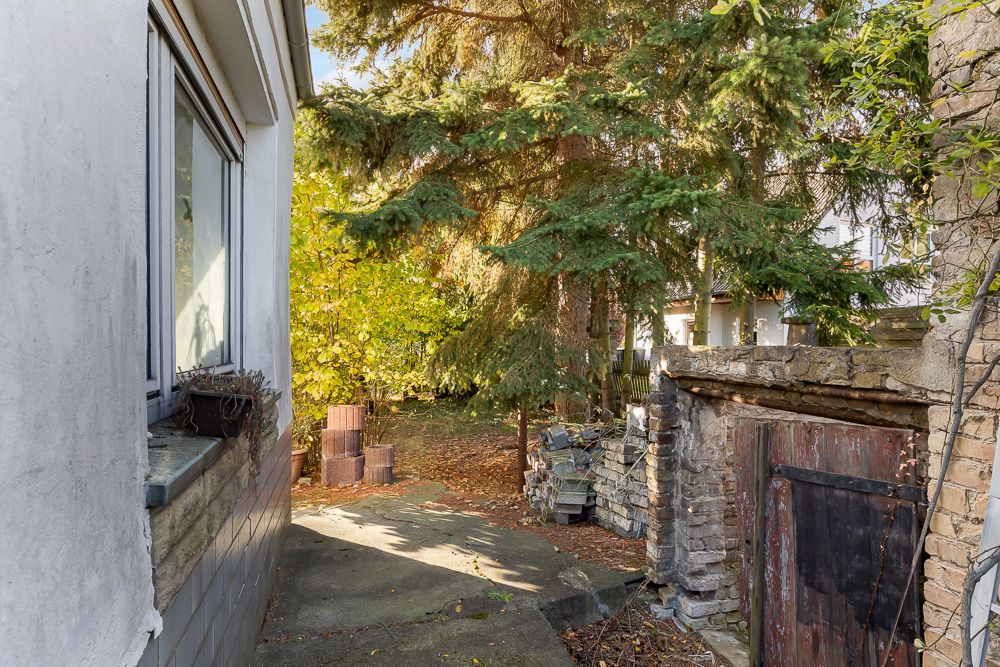 Gartenbereich mit Bäumen, Steinen und einer alten Holztür neben einem Wohnhaus.