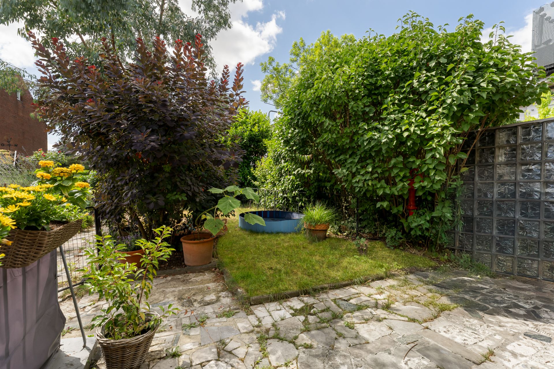 Kleiner Garten mit Rasenfläche, Pflanzen in Töpfen und Sträuchern, teils gepflasterter Boden.