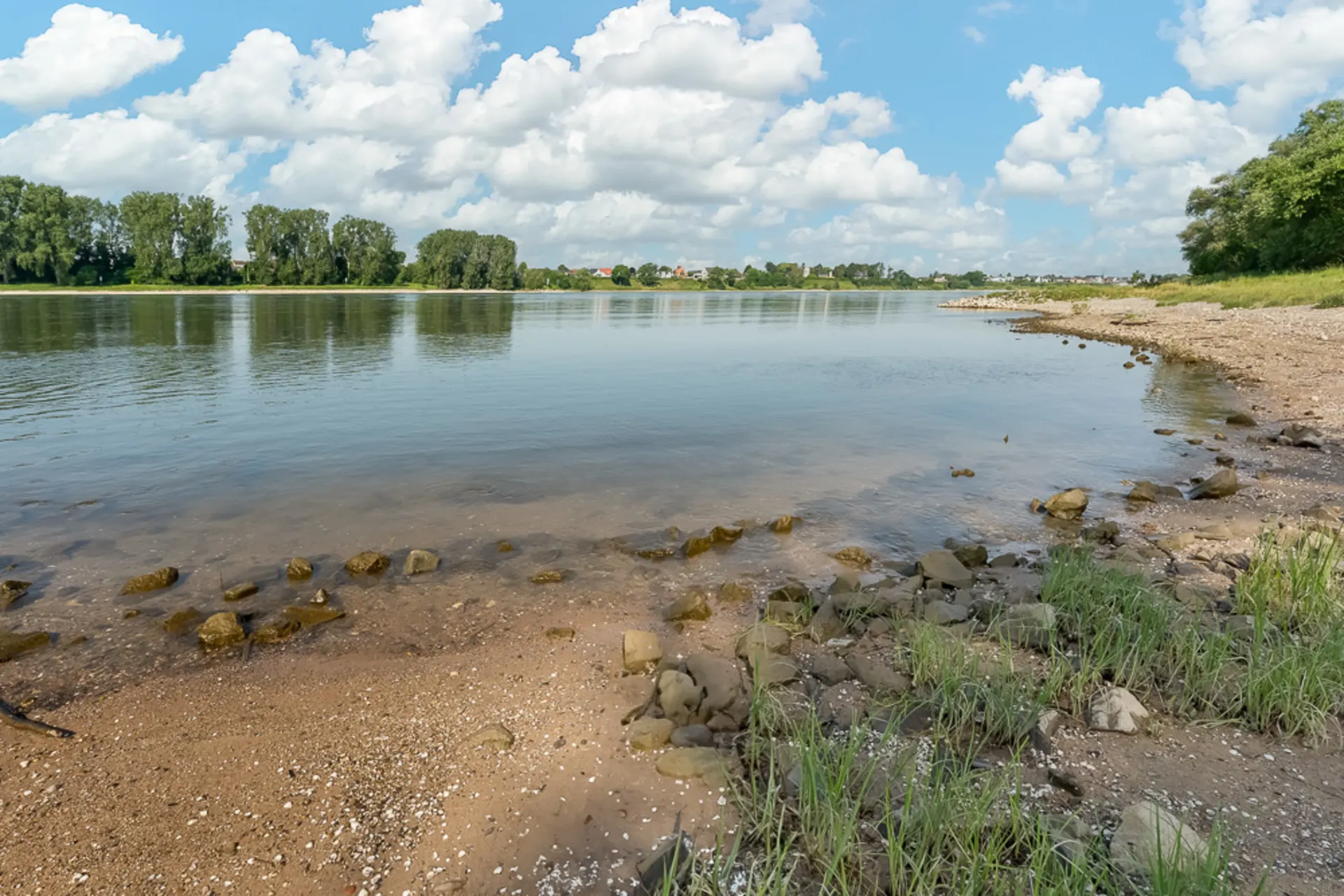 Sandiges Flussufer mit Steinen und etwas Gras, ruhiges Wasser, Bäume im Hintergrund.