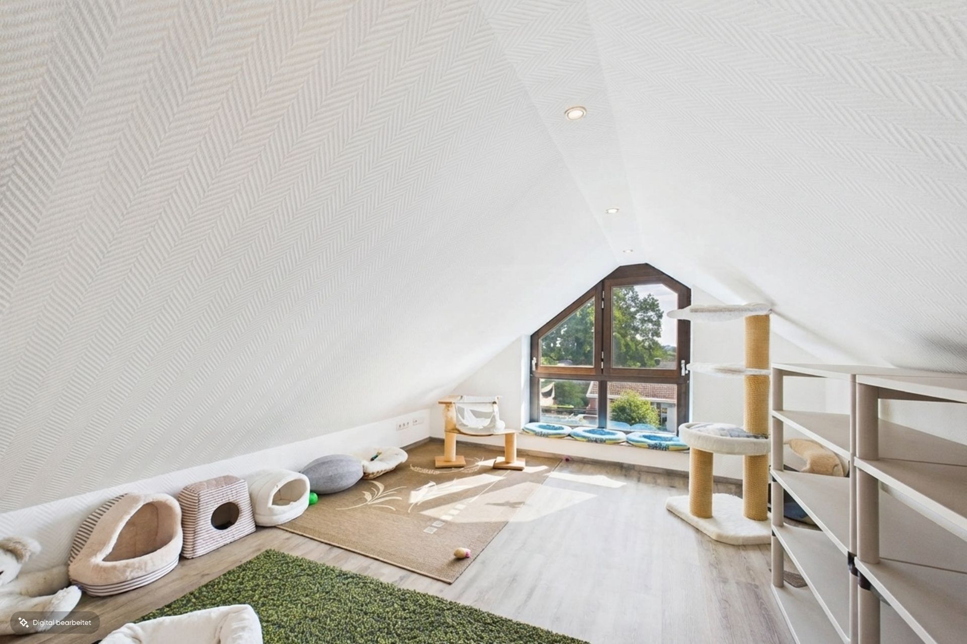 Helles Dachzimmer mit Katzenbetten, Kratzbaum und Blick aus großem Fenster.