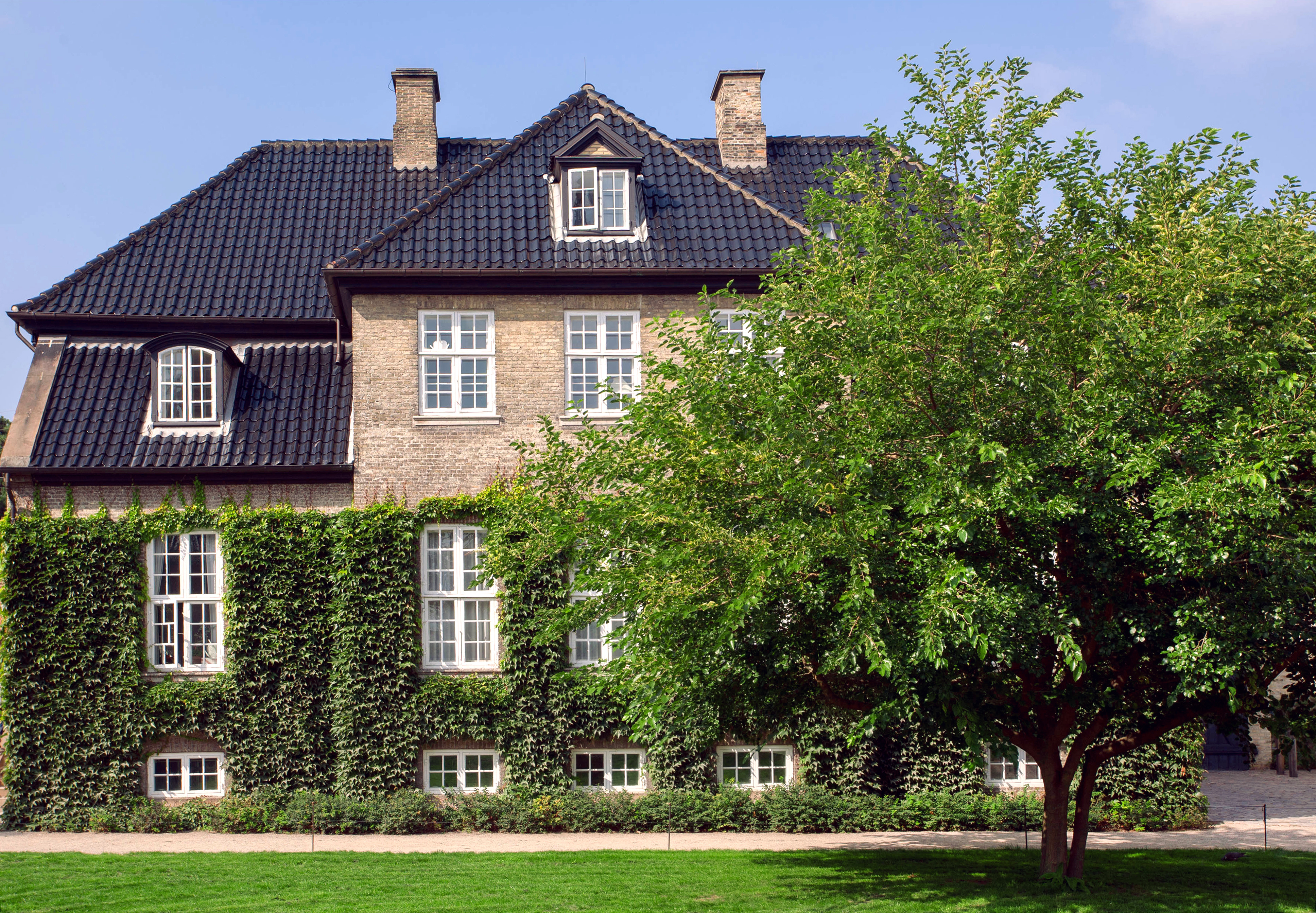 Großes Wohnhaus mit Kletterpflanzen an der Fassade und einem Baum im Vordergrund.