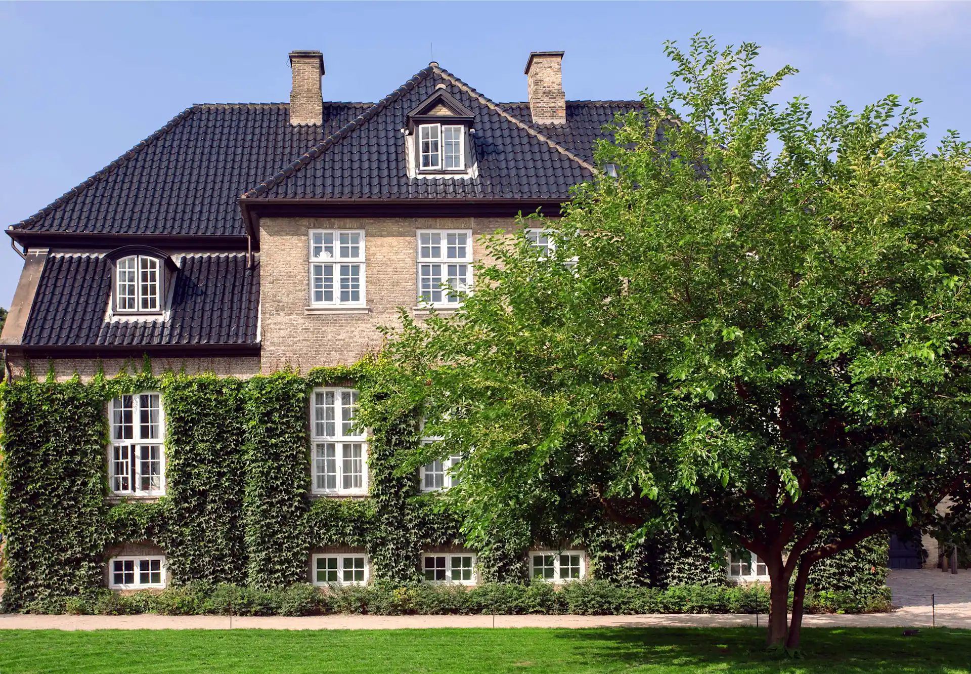Großes Wohnhaus mit Kletterpflanzen an der Fassade und einem Baum im Vordergrund.