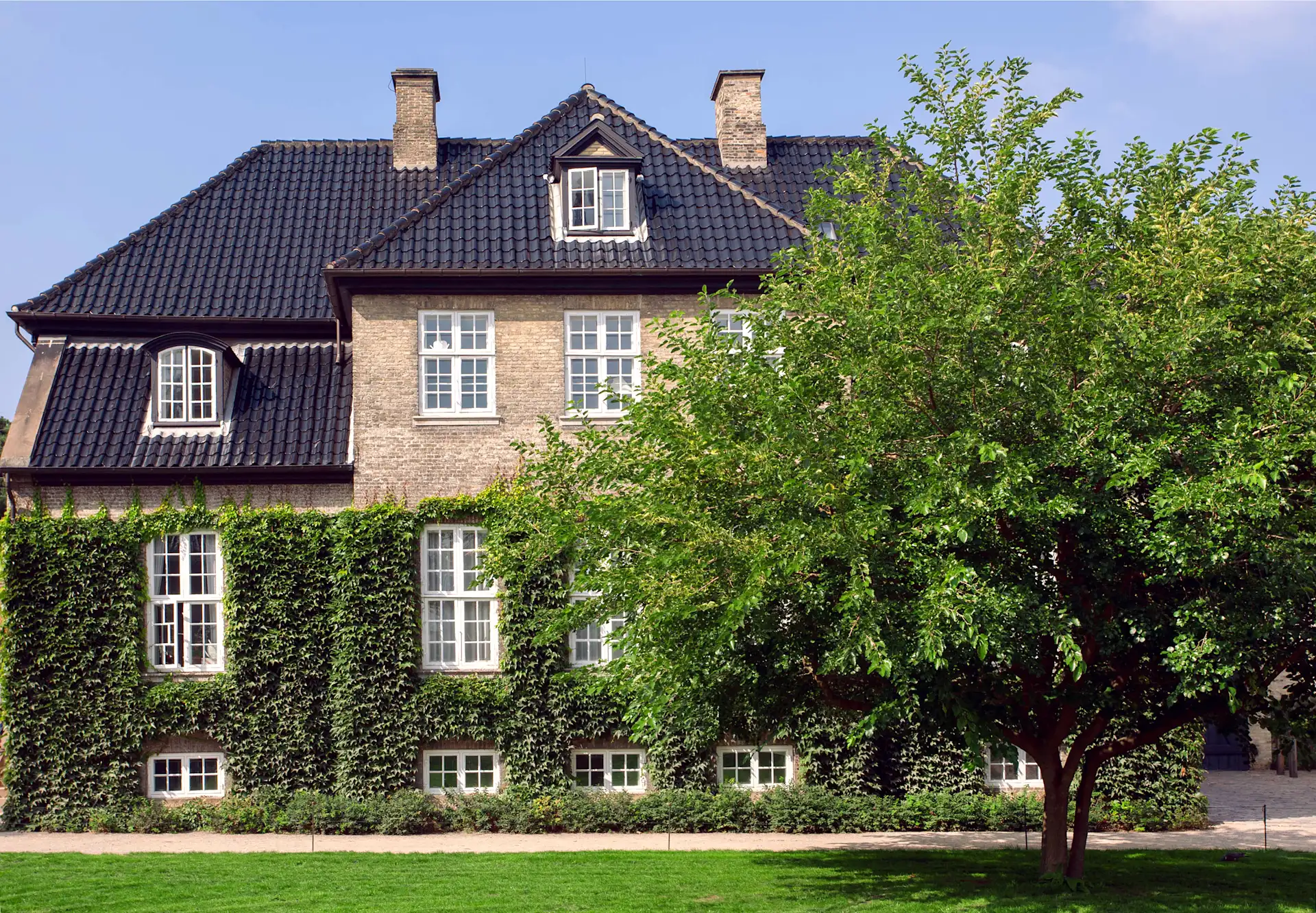 Großes Wohnhaus mit Kletterpflanzen an der Fassade und einem Baum im Vordergrund.