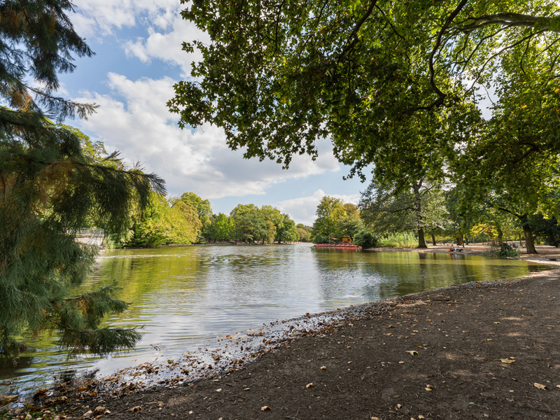 Ein ruhiger See im Park mit Bäumen und blauem Himmel im Hintergrund.