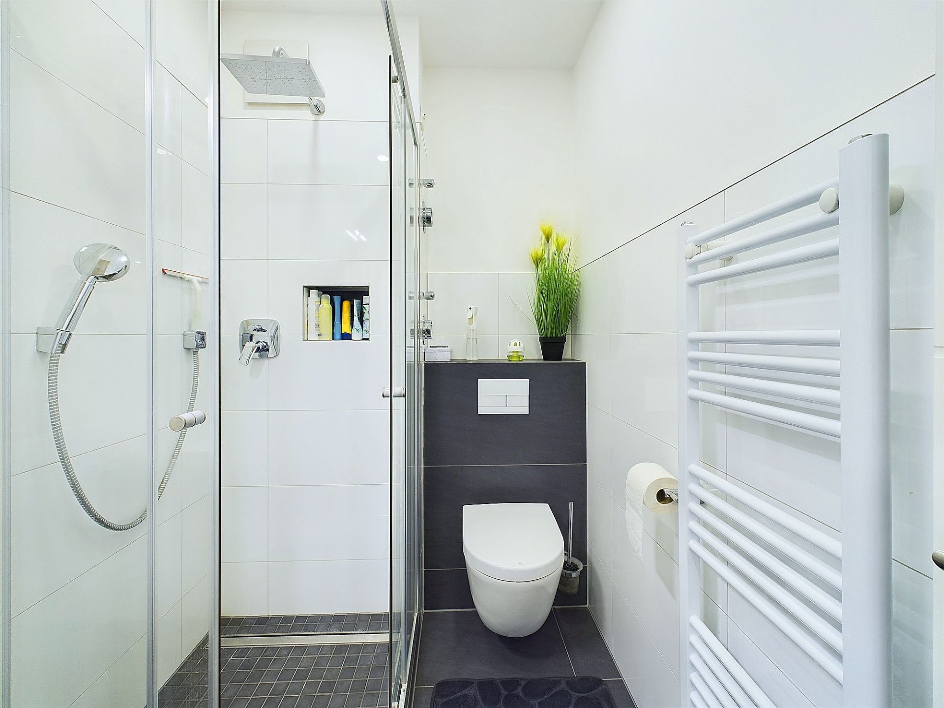 Modernes Bad mit Dusche, WC, Handtuchheizkörper und Dekopflanze auf dem Spülkasten.