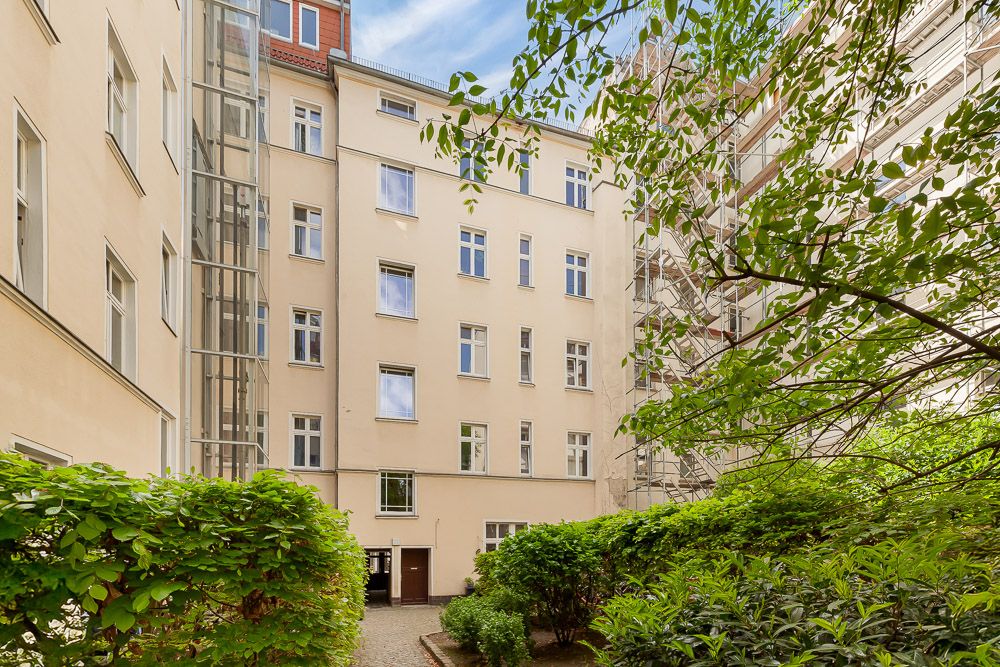 Heller Innenhof mit mehreren Fenstern, Pflanzen und einem Weg.