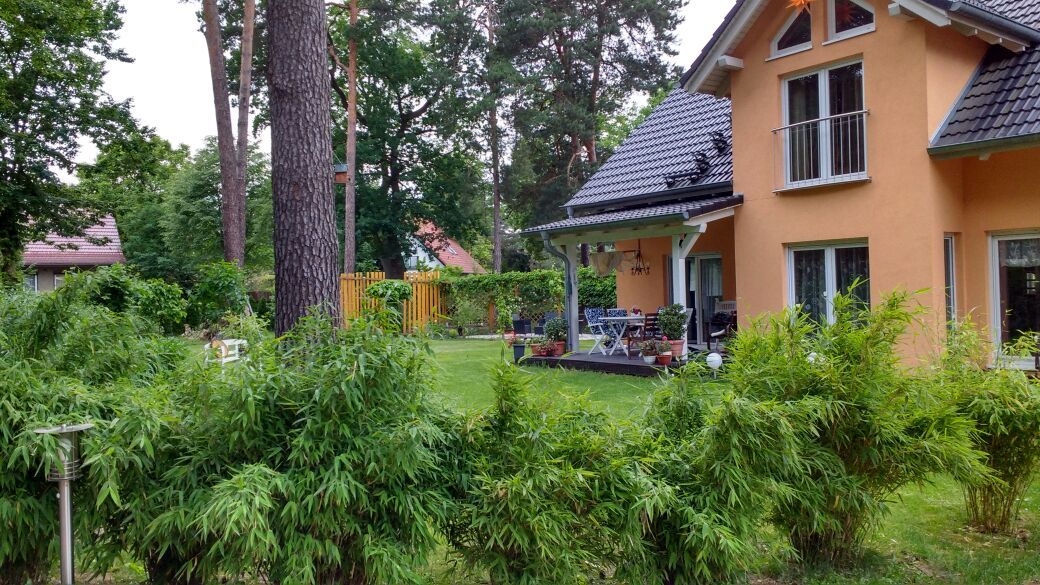 Zweistöckiges Haus mit Terrasse und Garten, umgeben von Bäumen und Sträuchern.