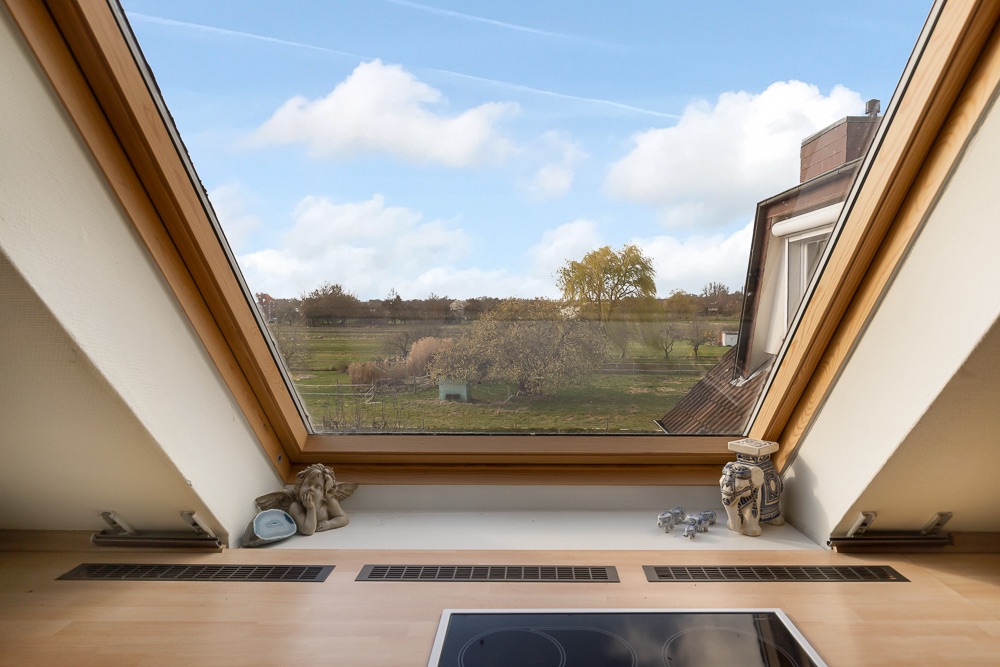 Großes Dachfenster mit Blick auf Wiese und Bäume, darunter ein Kochfeld auf einer Holzarbeitsplatte.