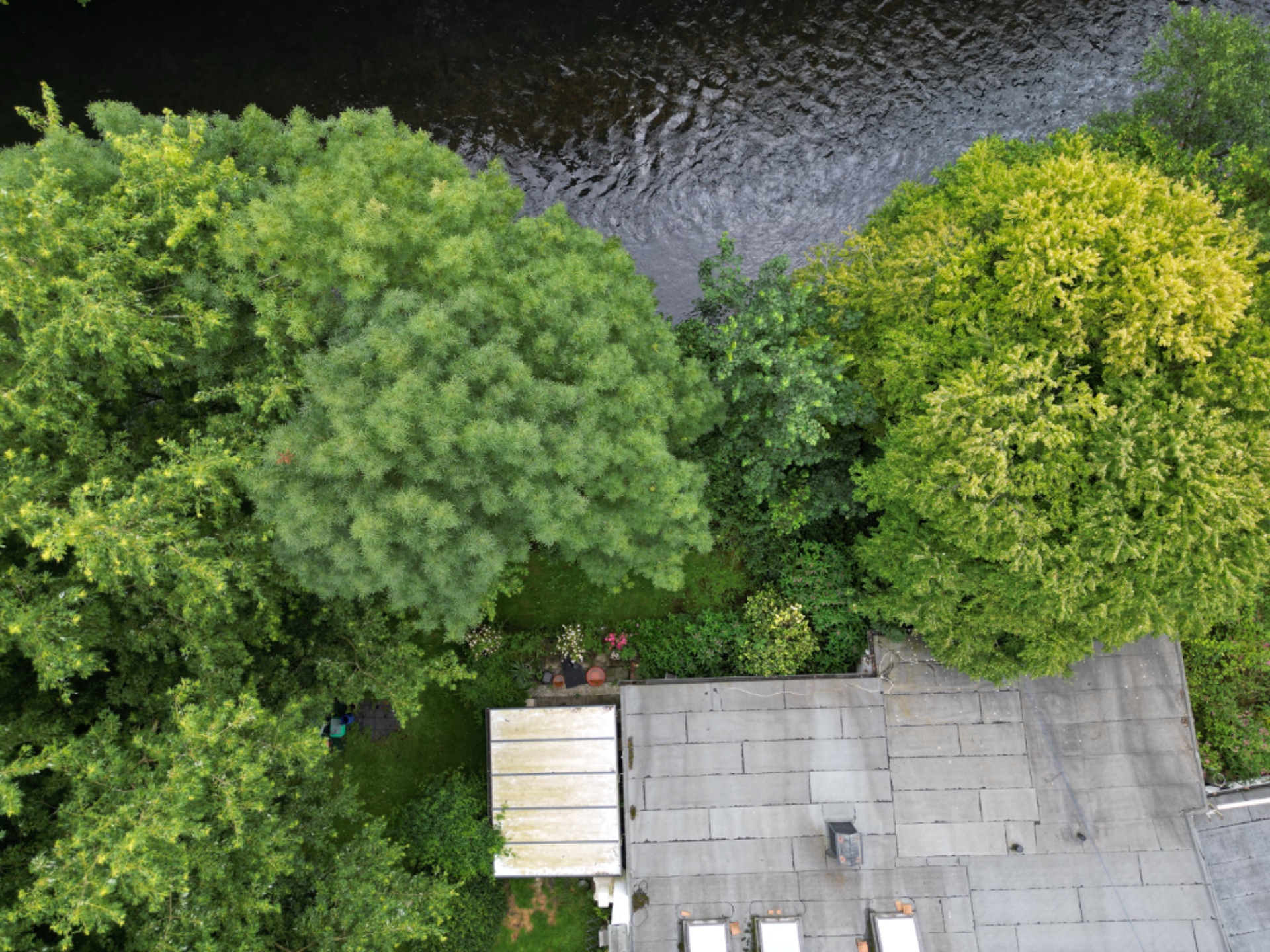 Luftaufnahme von Bäumen, einem Garten, einem Flachdach und einem Fluss im Hintergrund.