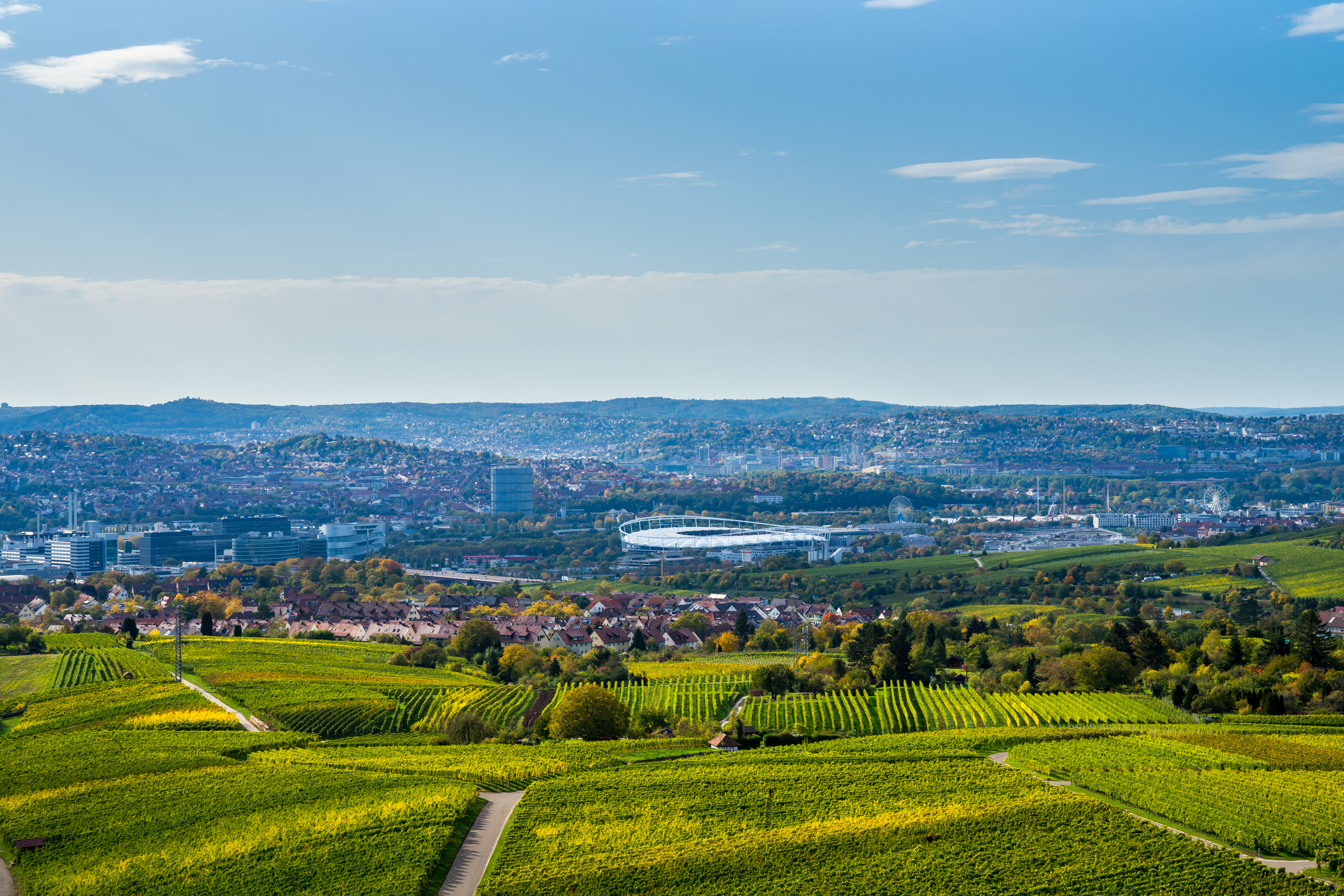 Blick auf grüne Weinberge und eine Stadt im Hintergrund unter blauem Himmel.