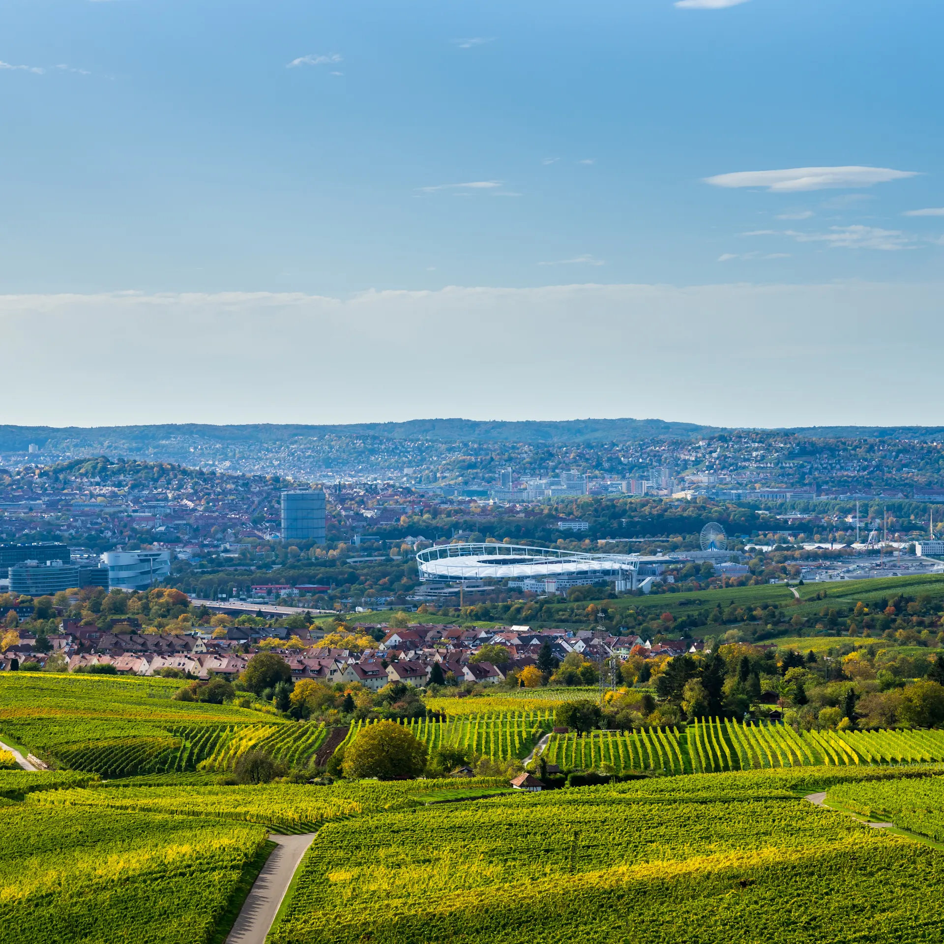 Blick auf grüne Weinberge und eine Stadt im Hintergrund unter blauem Himmel.