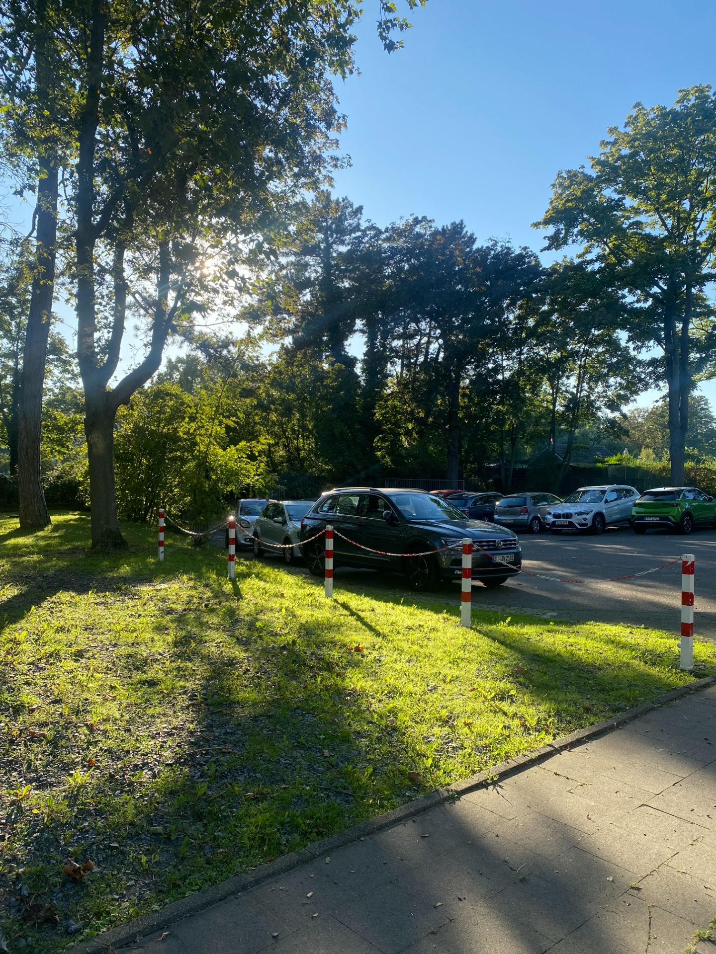 Mehrere Autos parken neben einer von Bäumen umgebenen Grünfläche bei Sonnenschein.
