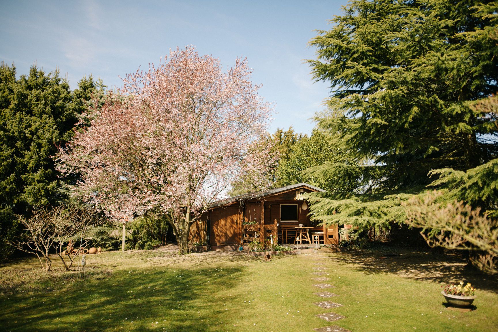 Kleines Holzhaus mit Veranda im Garten, umgeben von Bäumen und blühendem Baum im Vordergrund.
