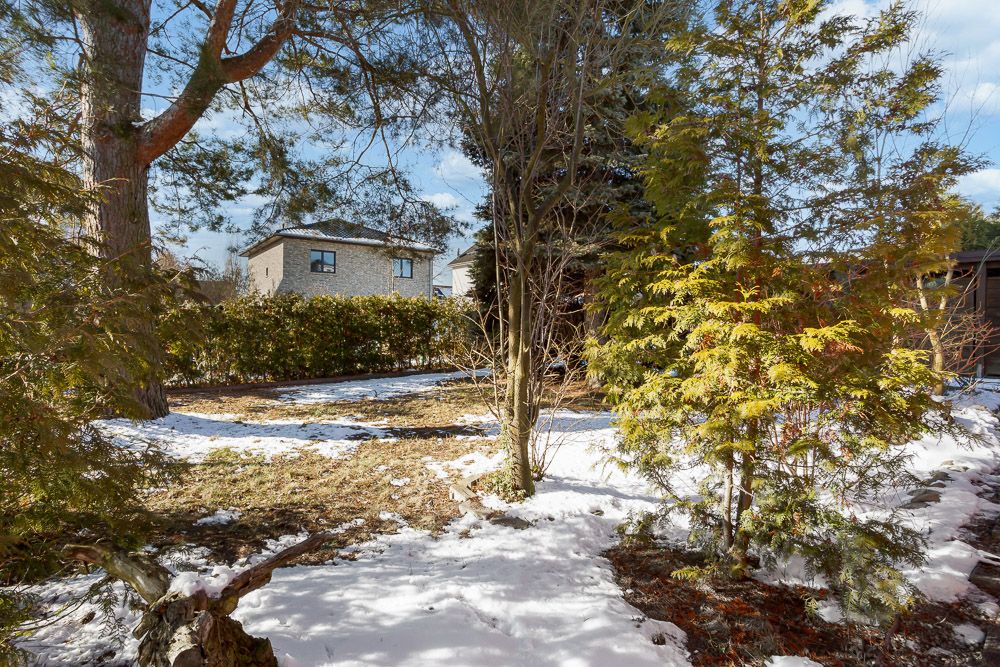 Garten mit Bäumen, teils bedeckt mit Schnee, im Hintergrund ein Wohnhaus.