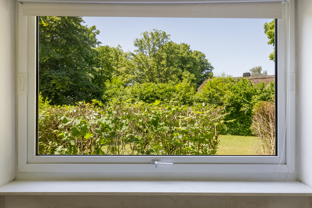 Blick aus einem Fenster auf einen Garten mit Gräsern und Büschen, im Hintergrund viele Bäume.