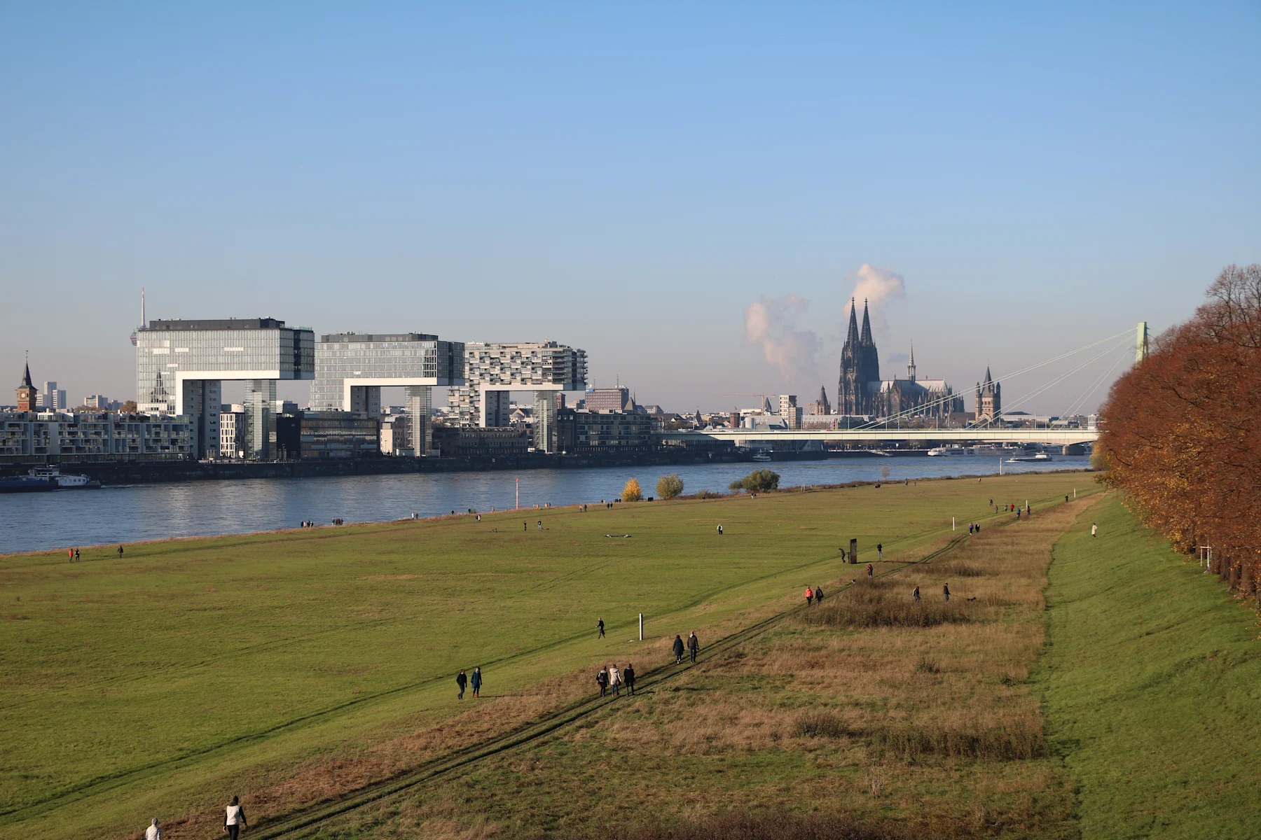 Weitläufige Wiese am Fluss mit Blick auf moderne Gebäude und eine Brücke in der Stadt.