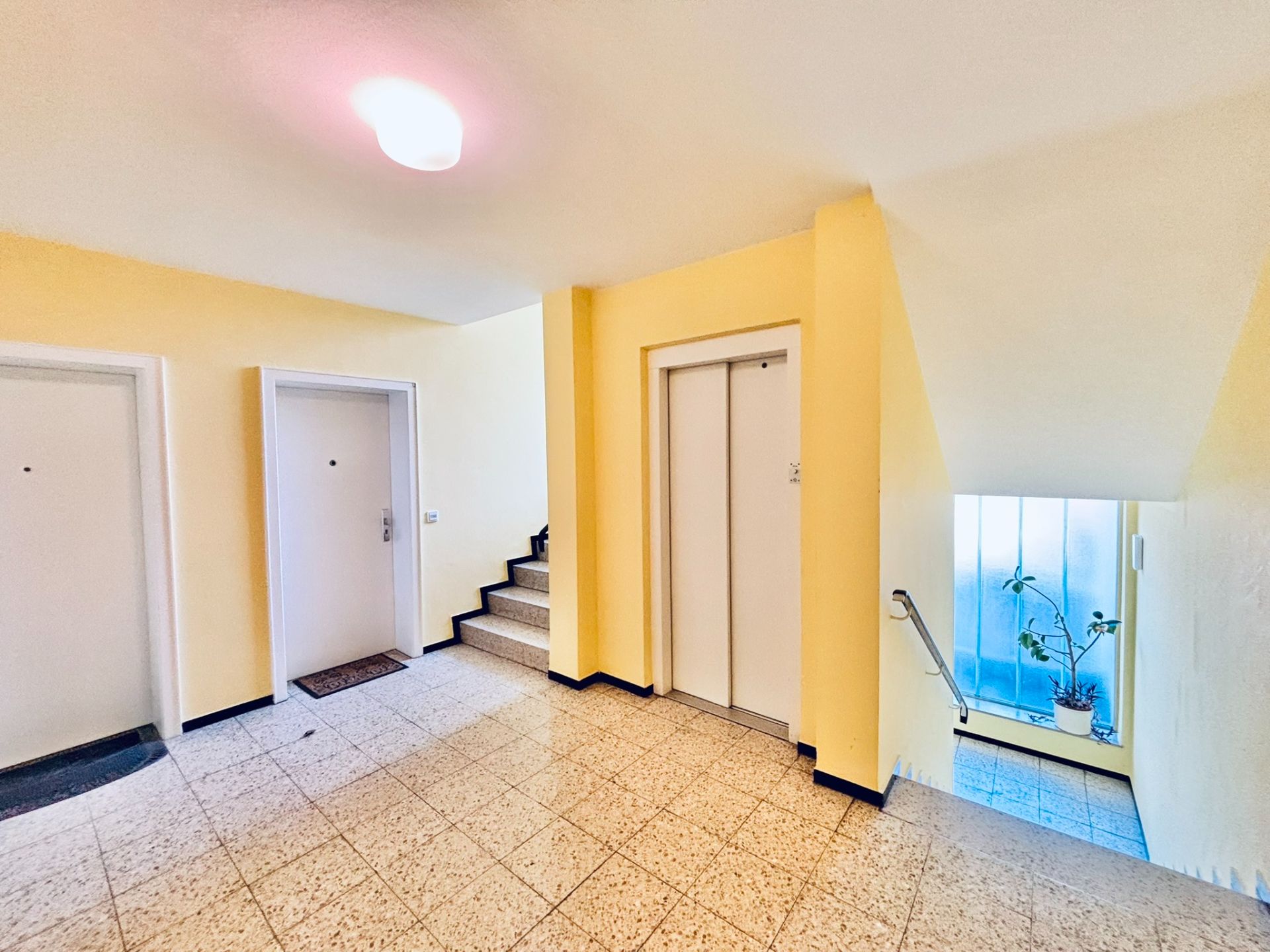 Heller Hausflur mit zwei Türen, Aufzug, Treppe und Fenster mit Pflanze.