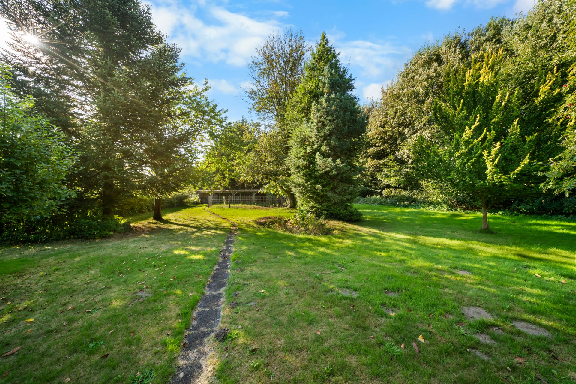 Garten mit Rasenfläche, Bäumen und einem schmalen Weg in der Mitte.