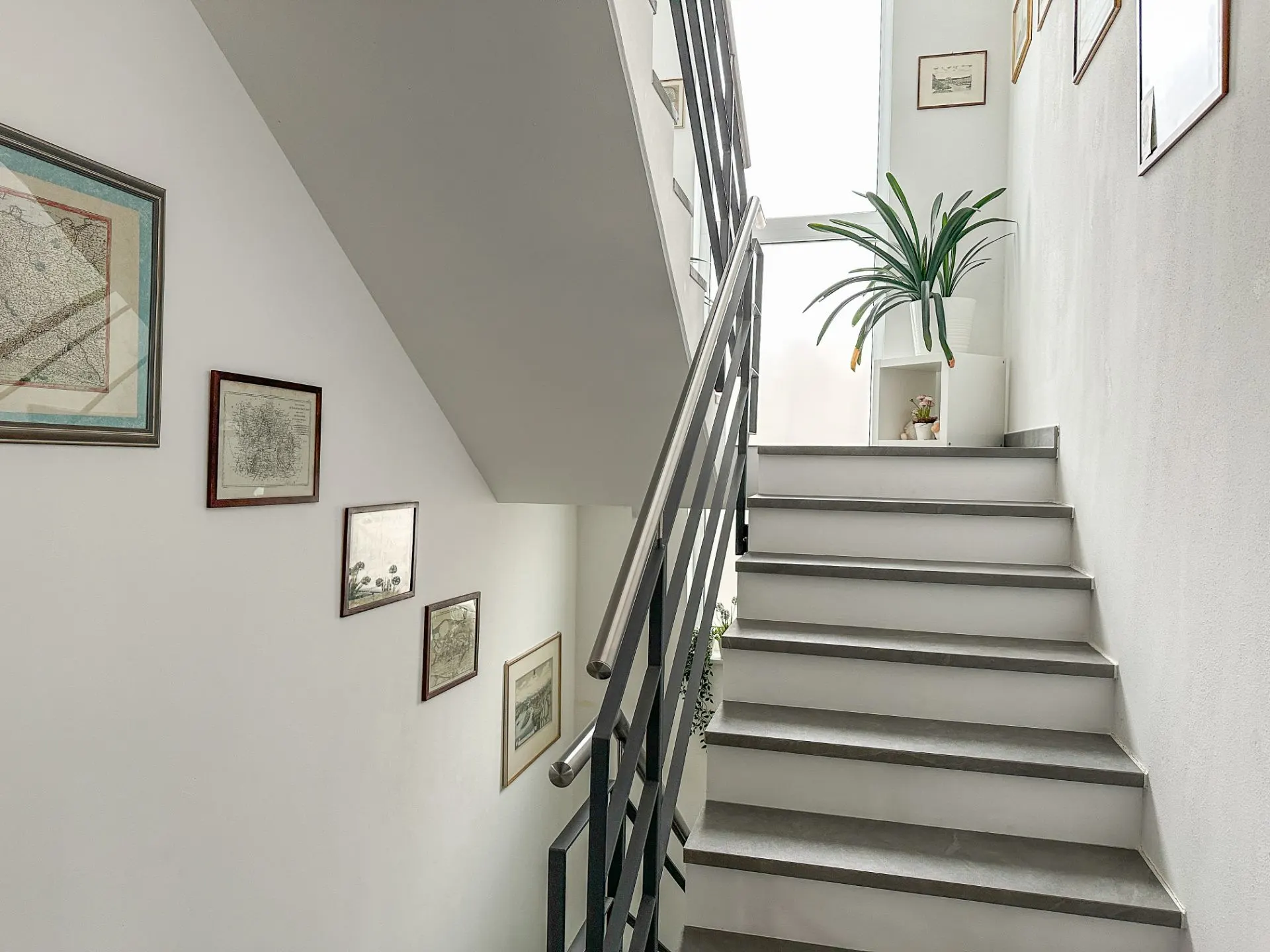 Helle Treppe mit Metallgeländer, Bildern an der Wand und einer Pflanze auf dem Podest.