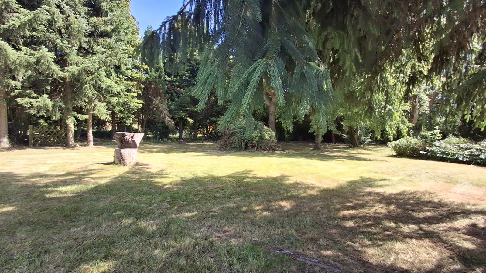 Großer Garten mit Rasenfläche, Baumstumpf und vielen Bäumen im Hintergrund.