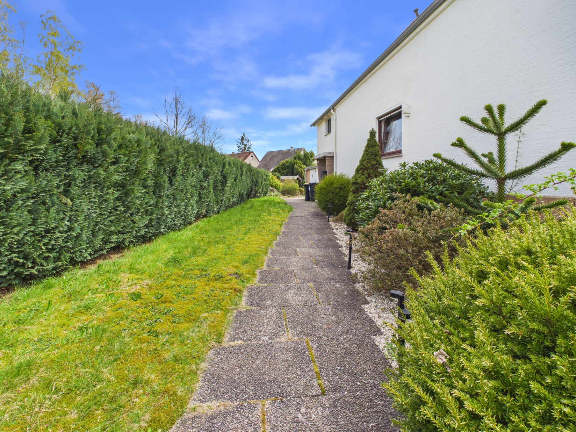 Gartenweg neben einem weißen Wohnhaus mit Hecke und verschiedenen Sträuchern.