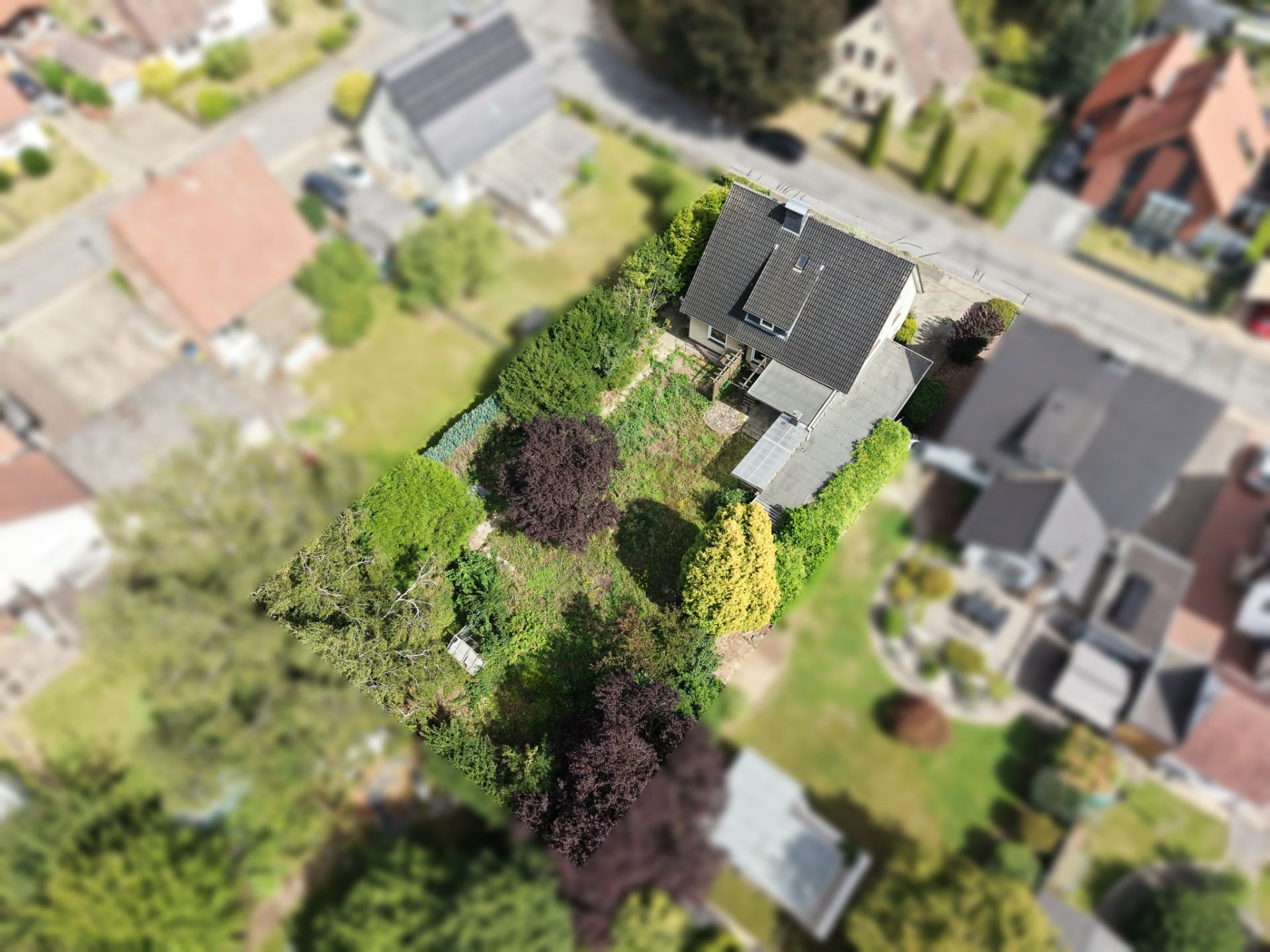 Luftaufnahme eines Einfamilienhauses mit Garten und umliegenden Bäumen.