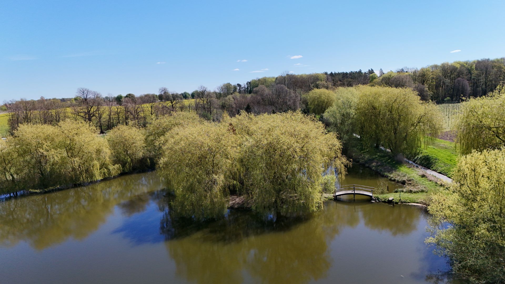Teich mit Bäumen und einer kleinen Holzbrücke, umgeben von Wiesen und Wald.
