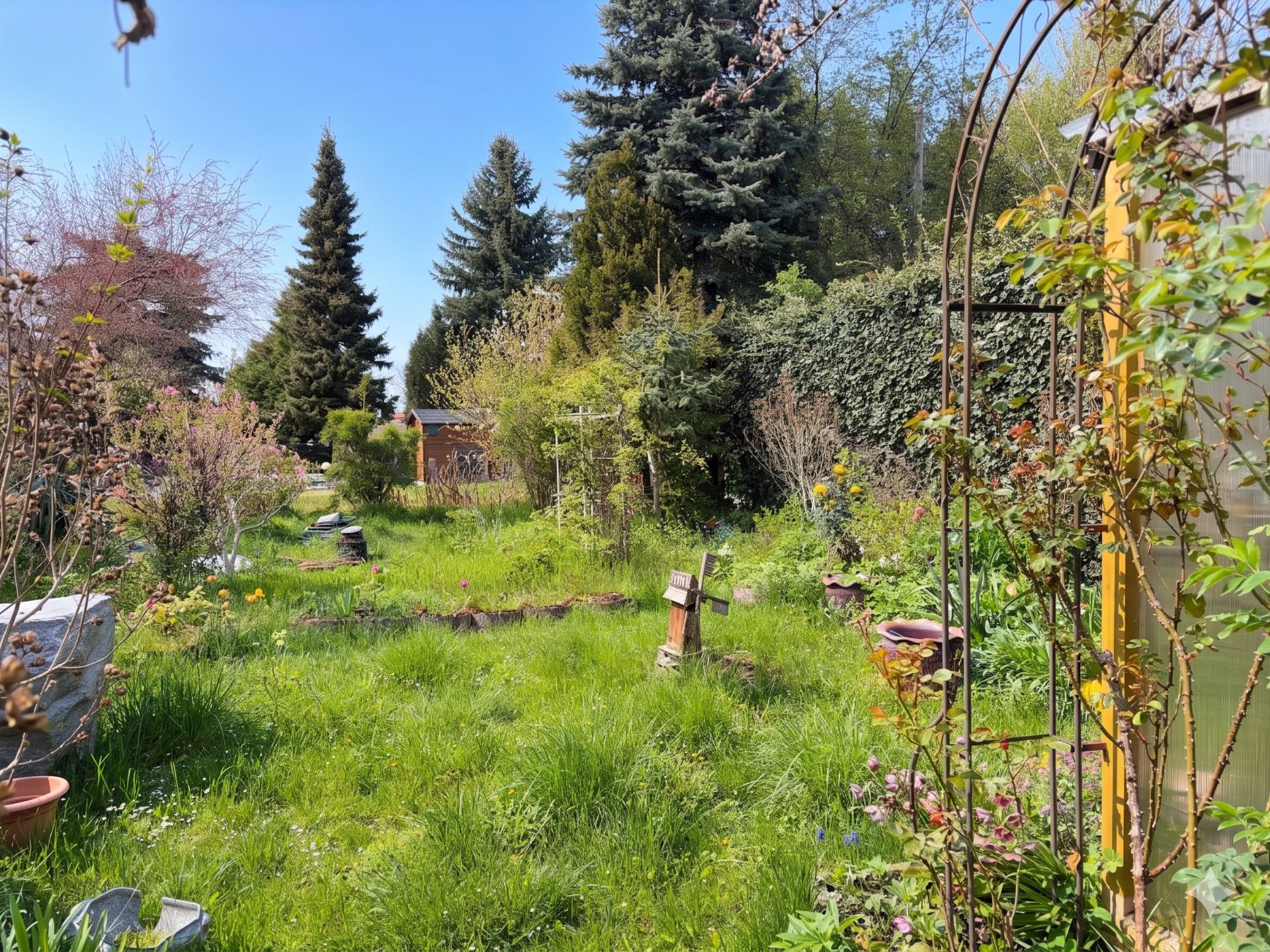 Grüner Garten mit Rasen, Bäumen, Sträuchern und einem kleinen Holzhaus im Hintergrund.